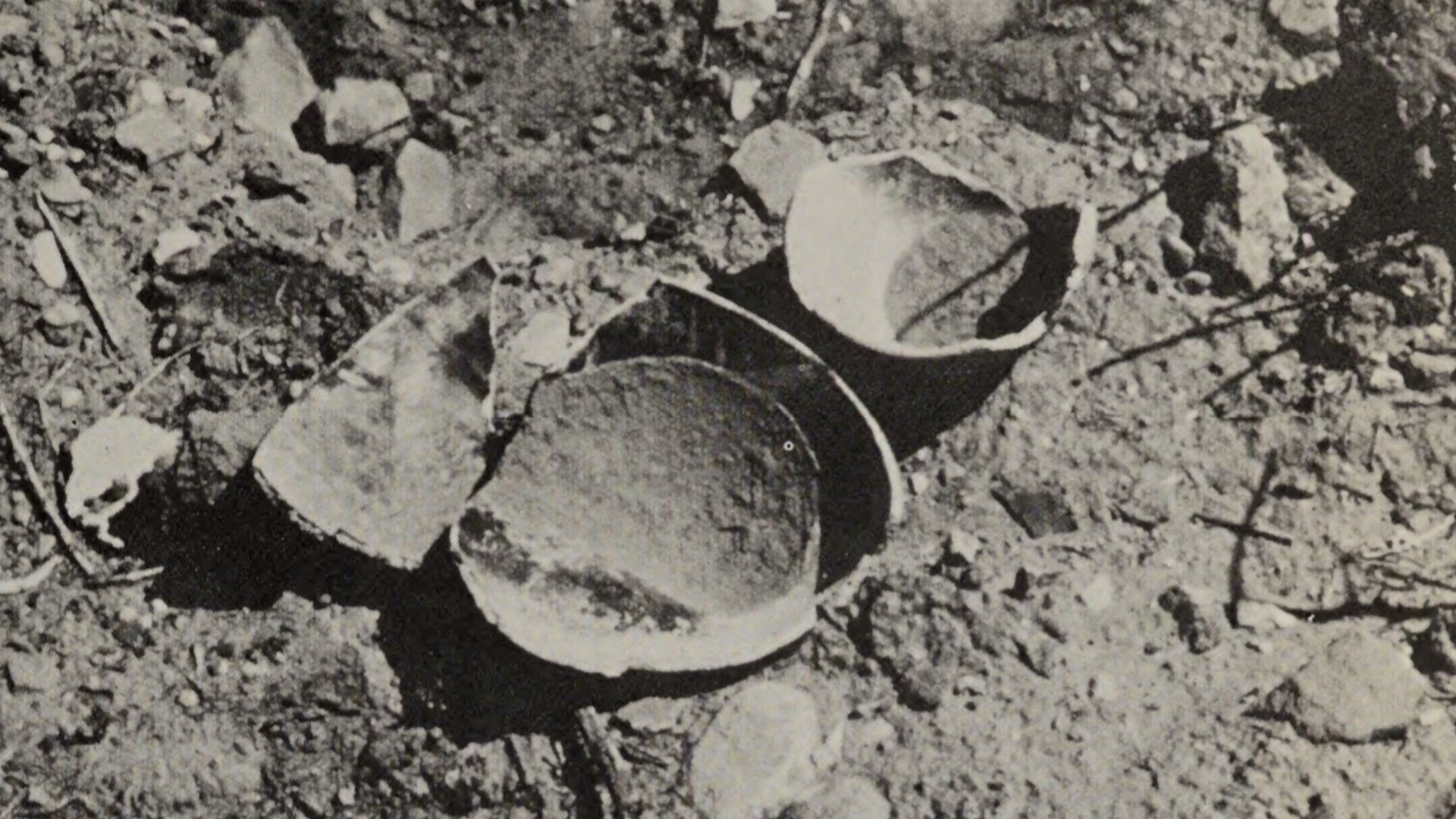 This is a photograph of a looted grave site of the Ancestral Puebloan people. Archaeologists and began removing artifacts from their historical contexts in the 1880s. In the 1960s looters began using bulldozers and backhoes to excavate grave sites to find