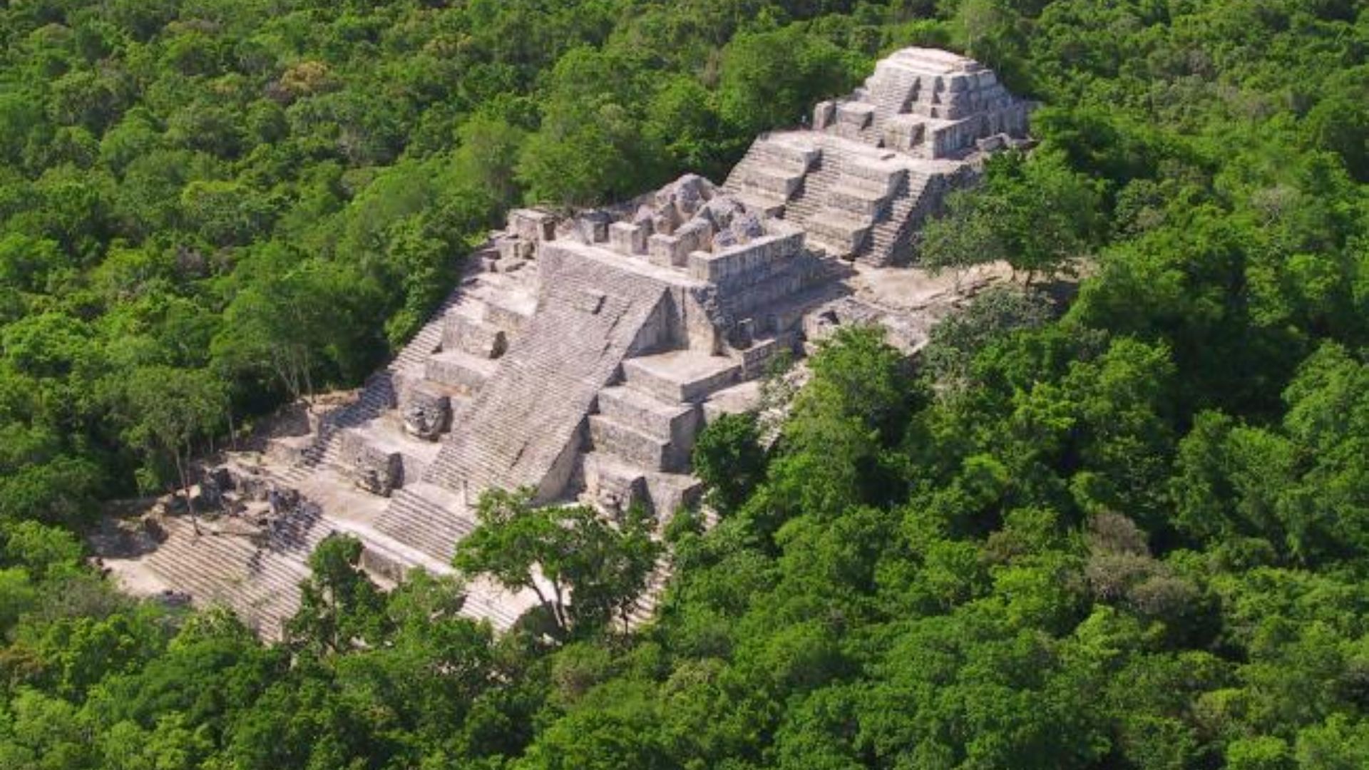 Maya pyramid Calakmul, Campeche, Mexico