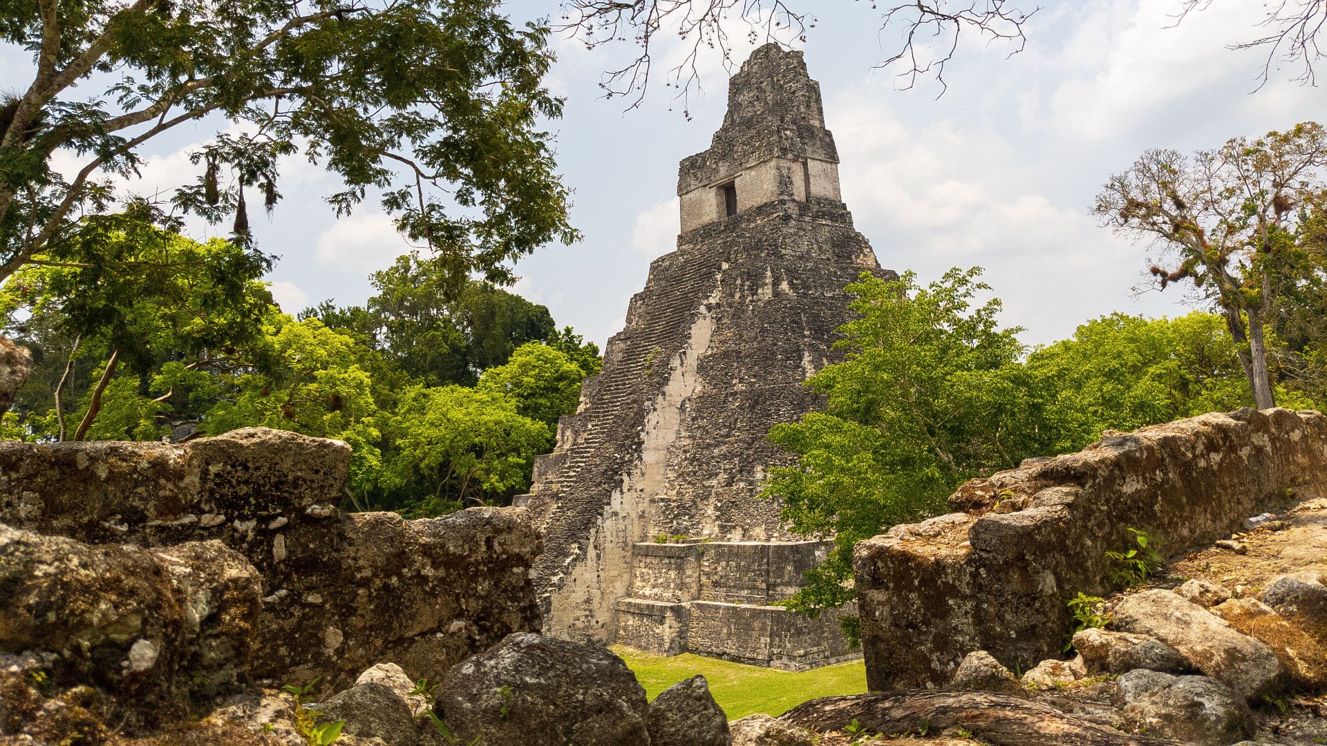 Explore the ancient Mayan architecture of Tikal's Great Jaguar Pyramid surrounded by lush jungle.