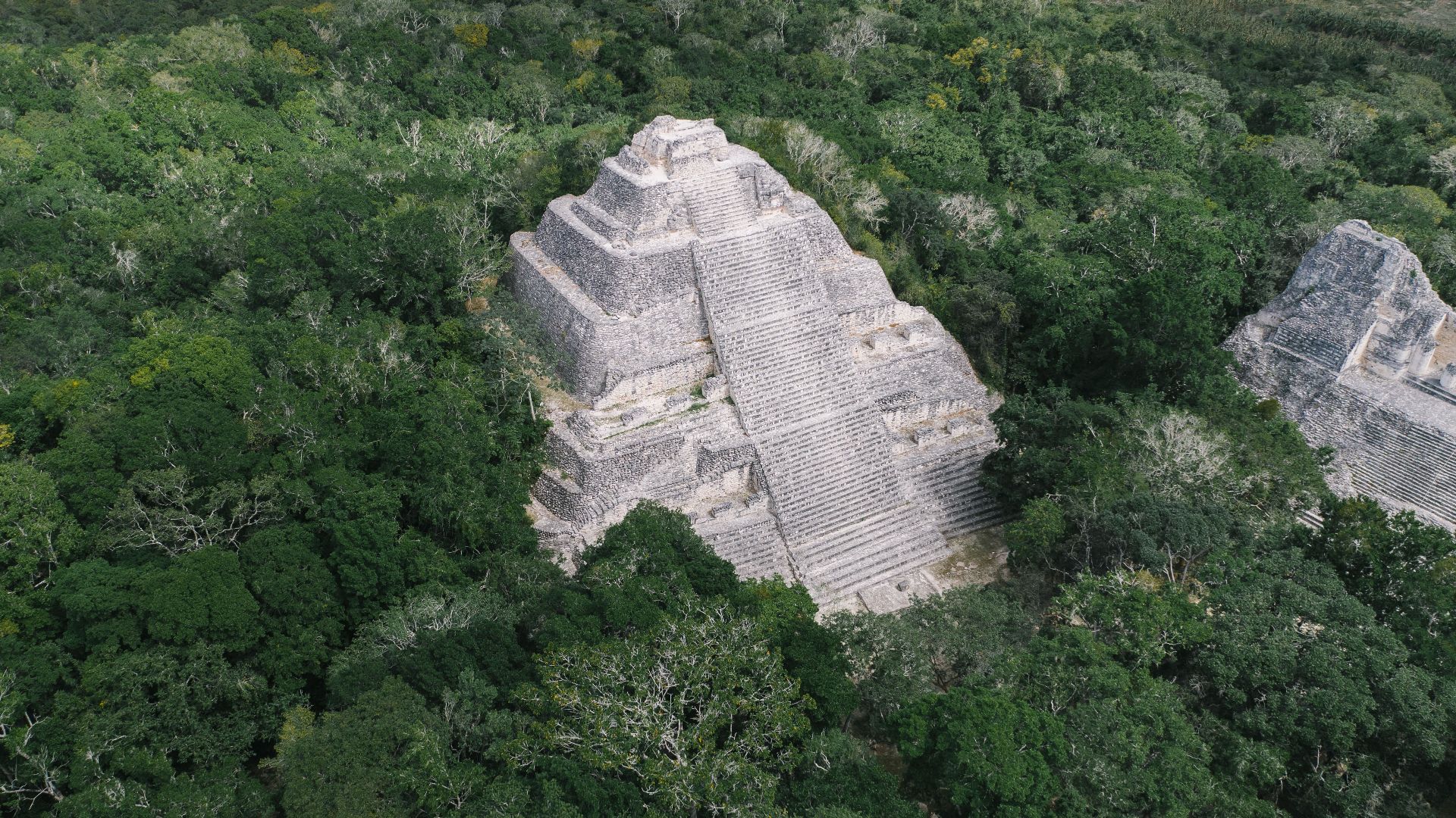 Discover the breathtaking aerial view of a Mayan pyramid amidst lush greenery in Campeche, Mexico.