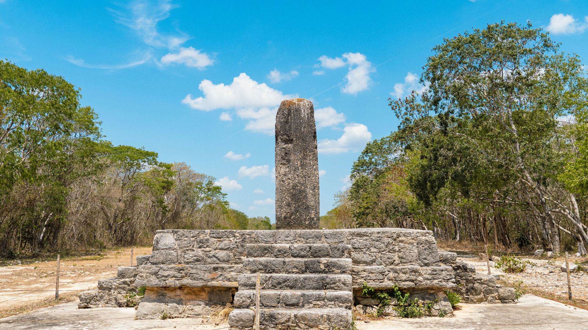 Explore the ancient Mayan stela amid lush vegetation at Dzibilchaltún, Yucatán, Mexico.
