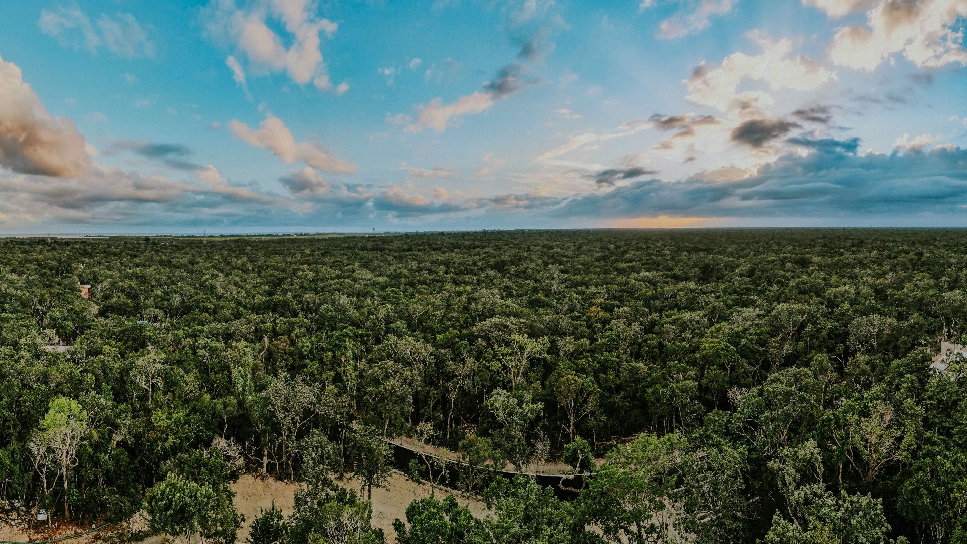 Expansive aerial view of lush forest surrounding San Pablo, Quintana Roo at sunset.