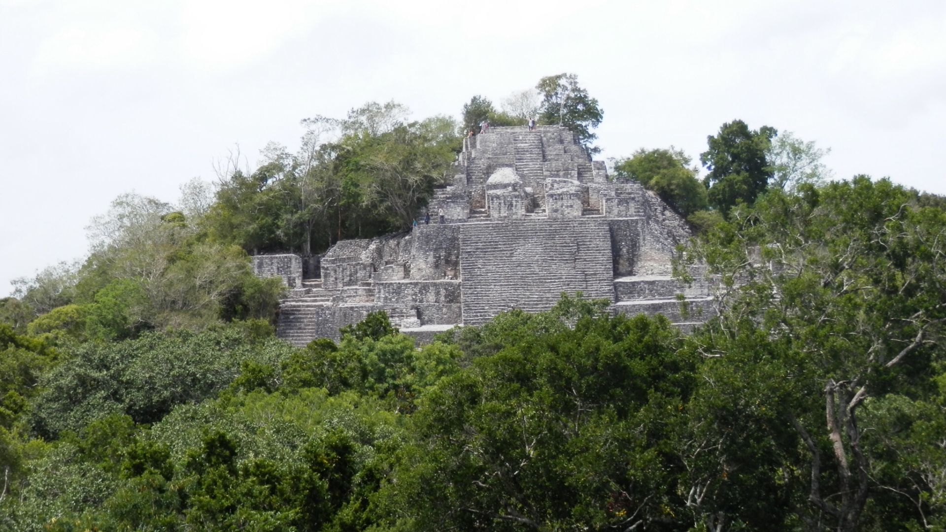 Structure II