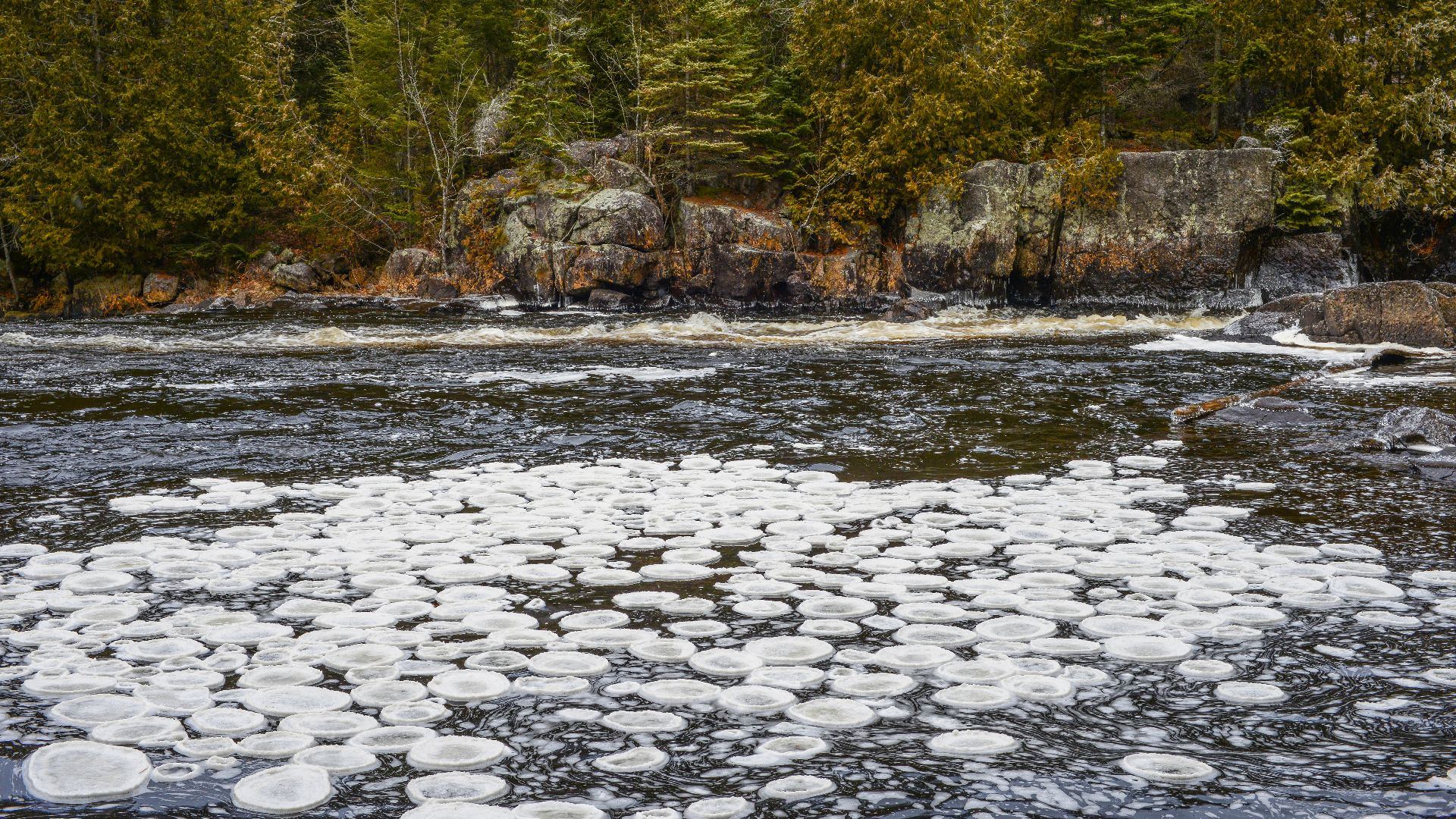 Ice disks on the Doncaster River, Quebec