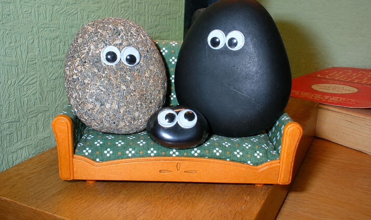 pet rocks 