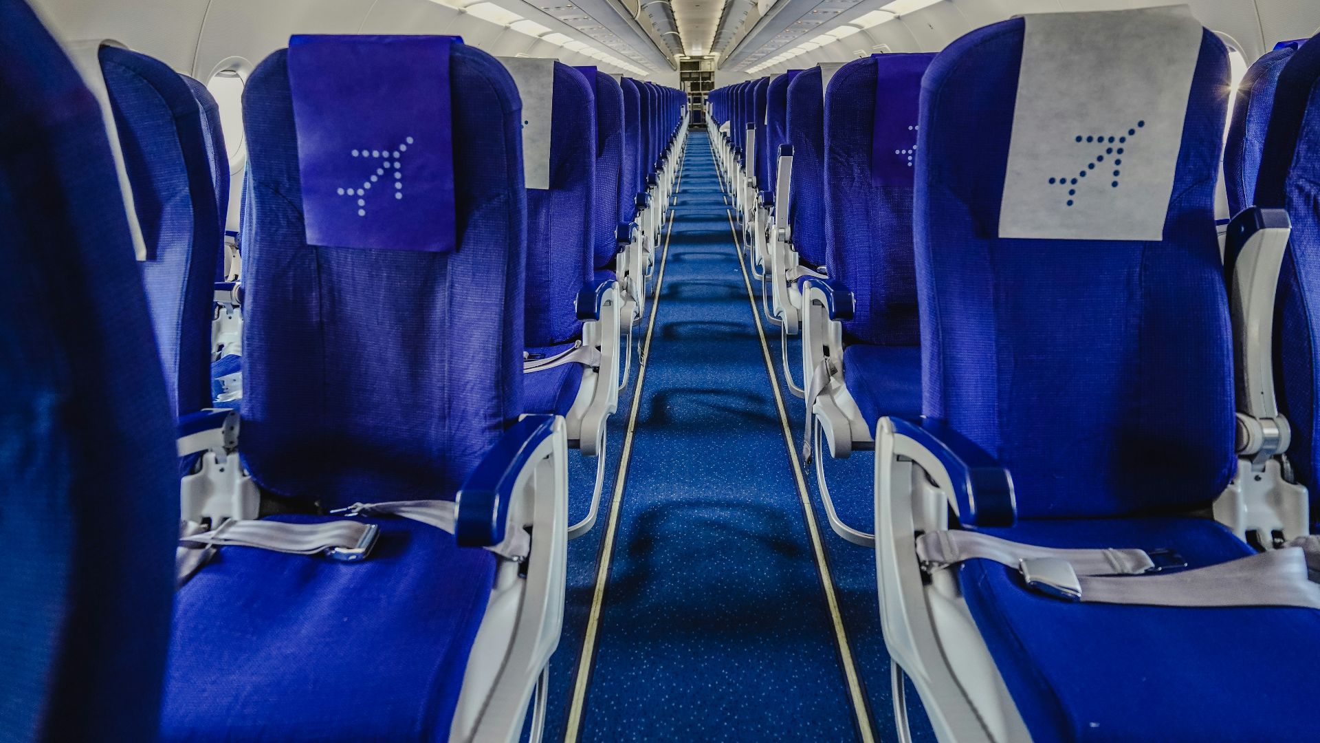 blue and white airplane seats