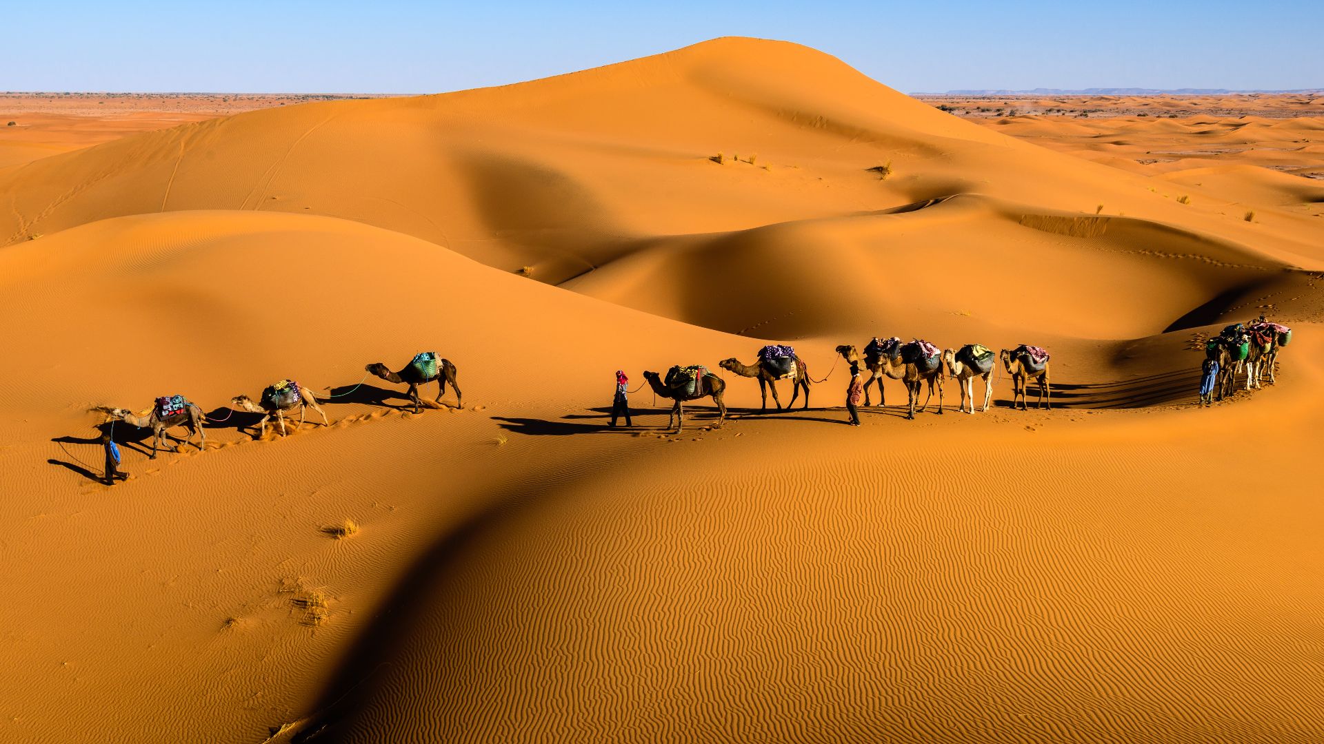 Caravan in the desert. Morocco, Sahara.