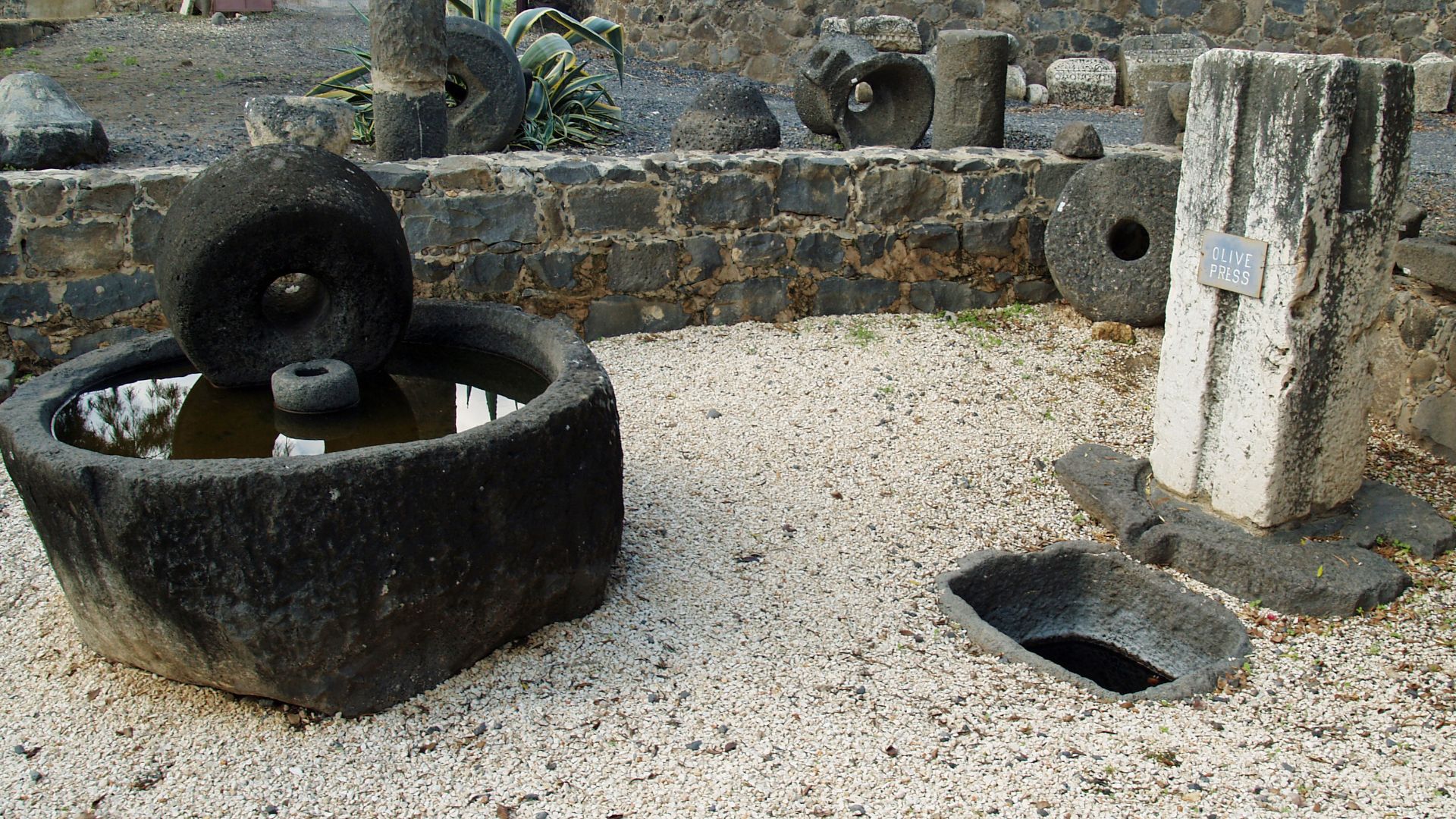 w:Capernaum Roman-era olive mill in the ruins of the town.