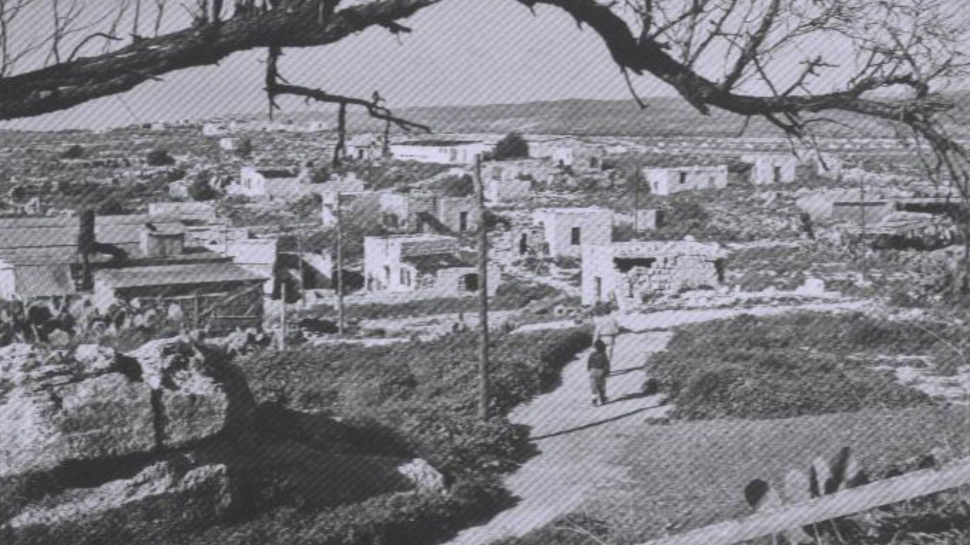 Moshav Habonim (On the land of the Abandoned arb village, Lam) 1954, Central Zionist Archives.