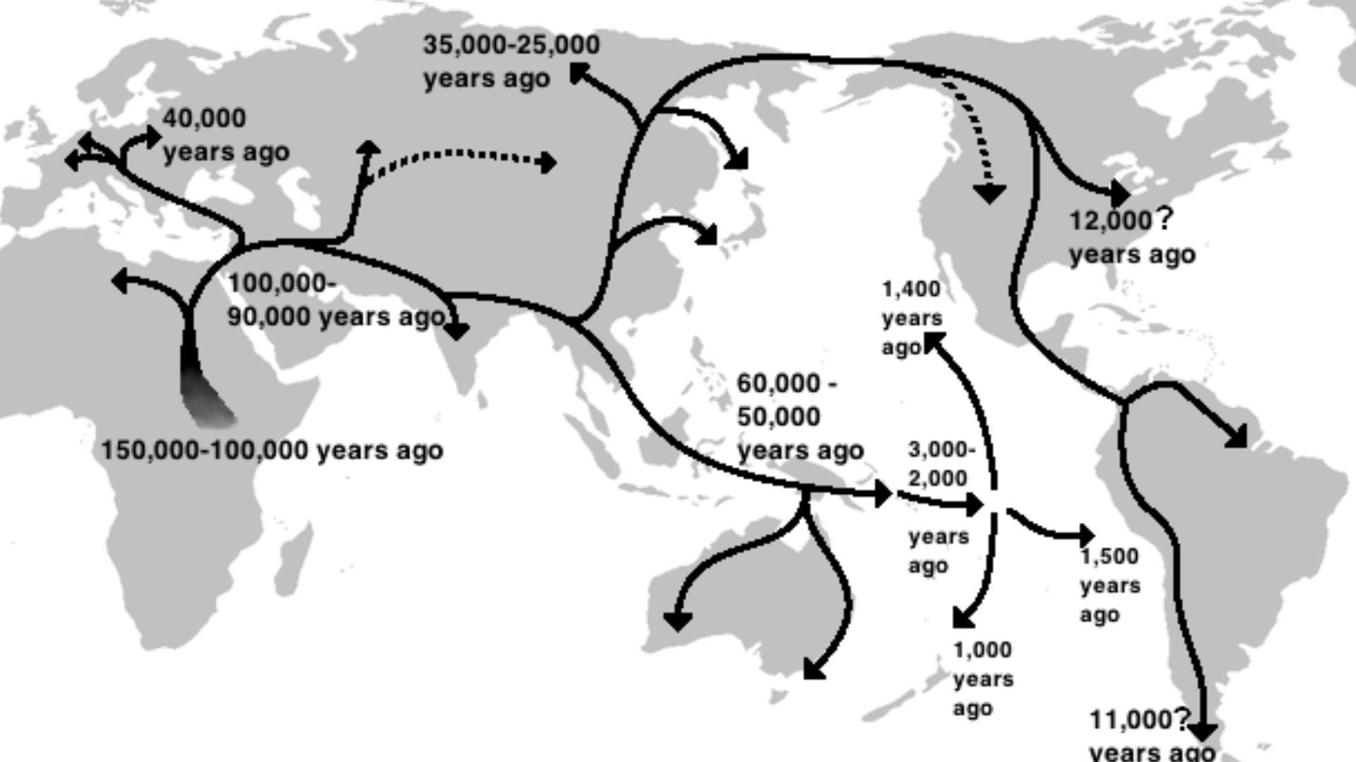 This is a recreation of a map that can be found at the Kyushu Museum website that shows the human migration path and dates Out of Africa as proposed by Saitou Naruya (Japanese:斎藤成也) professor at the (Japanese) National Institute for Genetics.http://www.mu