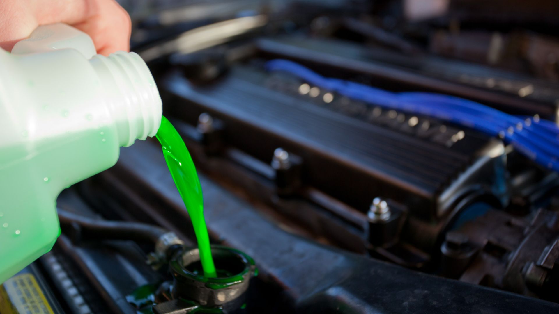 Engine coolant being poured into the radiator of a car. Taken in Melbourne, Victoria in July 2009