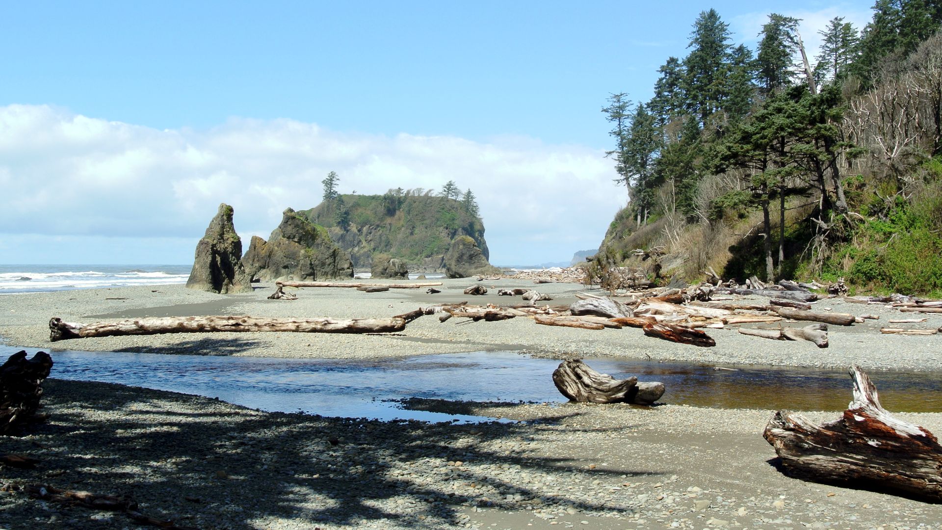 Cedar Creek and Abbey Island seen from Ruby Beach, Kalaloch Area, Olympic National Park.