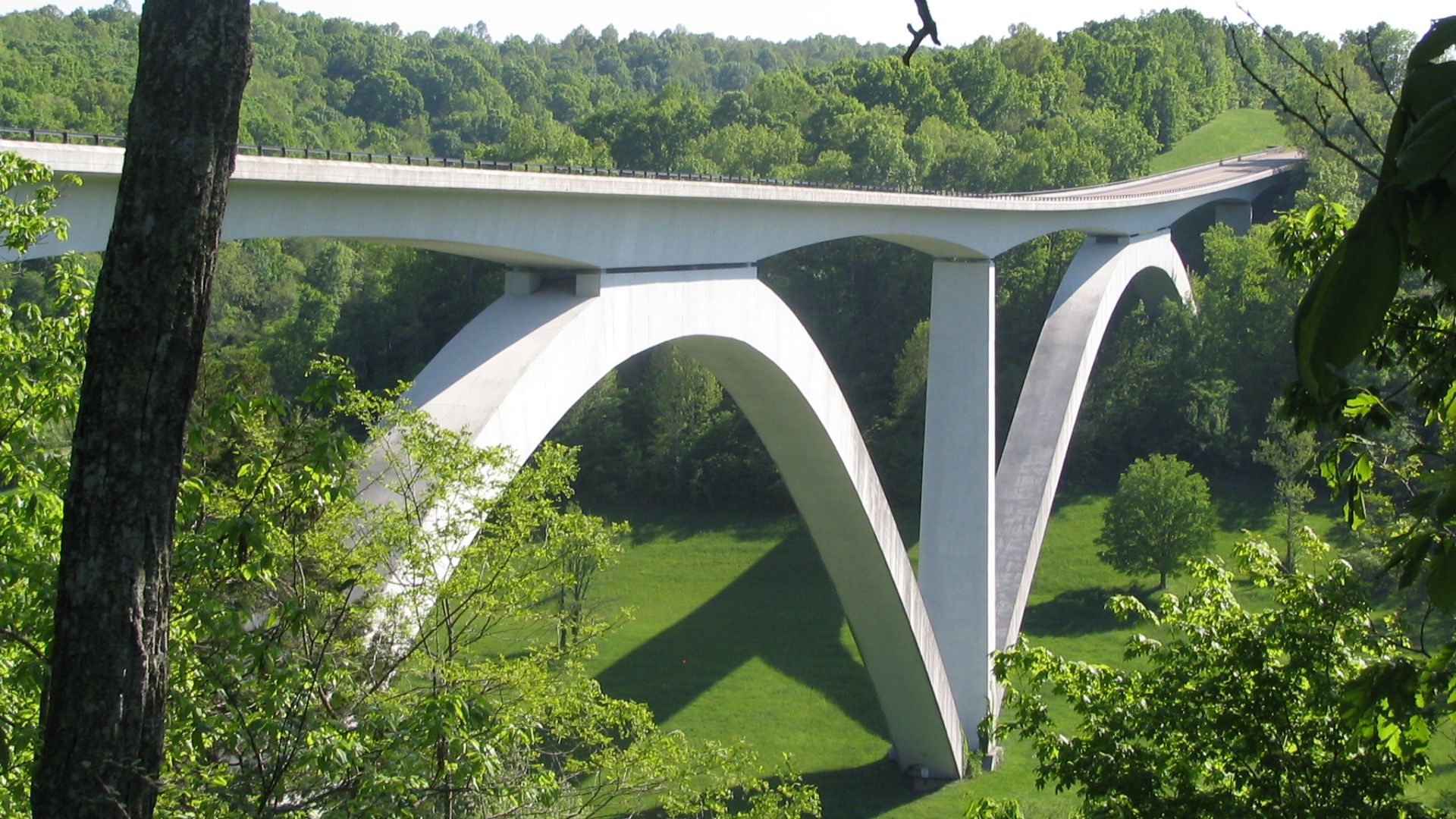Photo of Natchez Trace Parkway Bridge. The Natchez Trace Parkway Bridge is the nation's first segmentally constructed concrete arch bridge. It is in Williamson County, not far from Davidson County. it is 155 feet high above Highway TN 96 (which will go in
