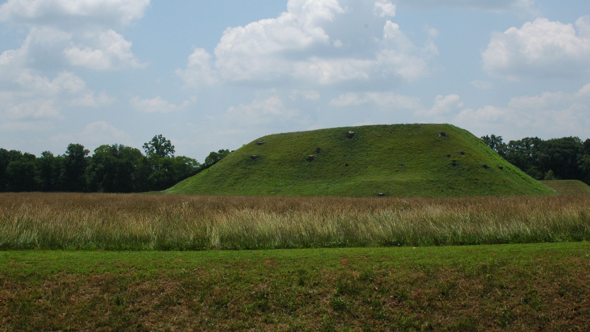 Mound A at the Etowah Indian Mound site as seen from Indian Mound Rd. outside of the grounds' fence.