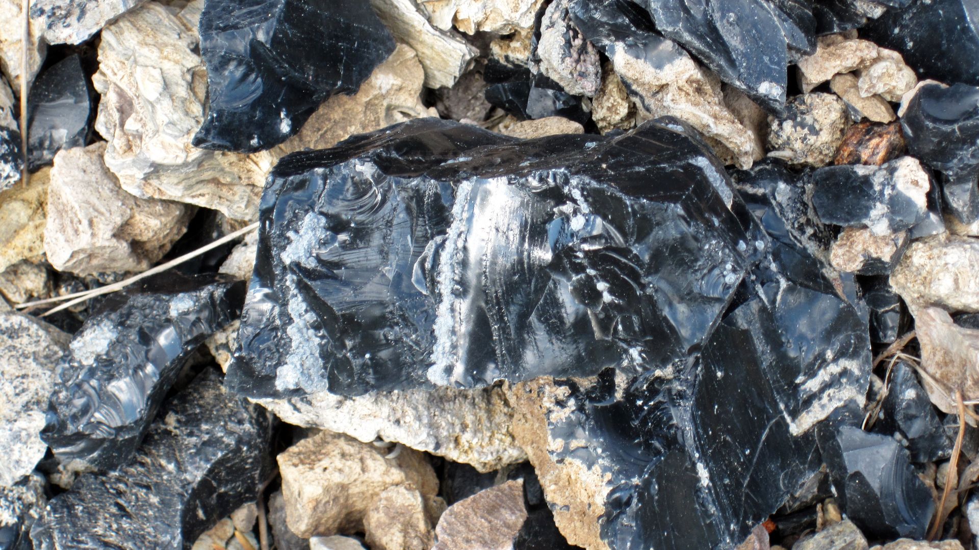 Obsidian is a glassy-textured, extrusive igneous rock.  Glassy-textured rocks have no crystals at all.  They form by very rapid cooling of lava or by cooling of high-viscosity lava.  Most obsidians form by the latter.  Obsidian can be felsic, intermediate