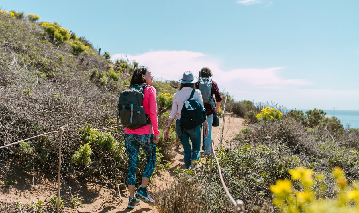 A group of hikers walking on a coastal trail surrounded by lush vegetation under a bright sky