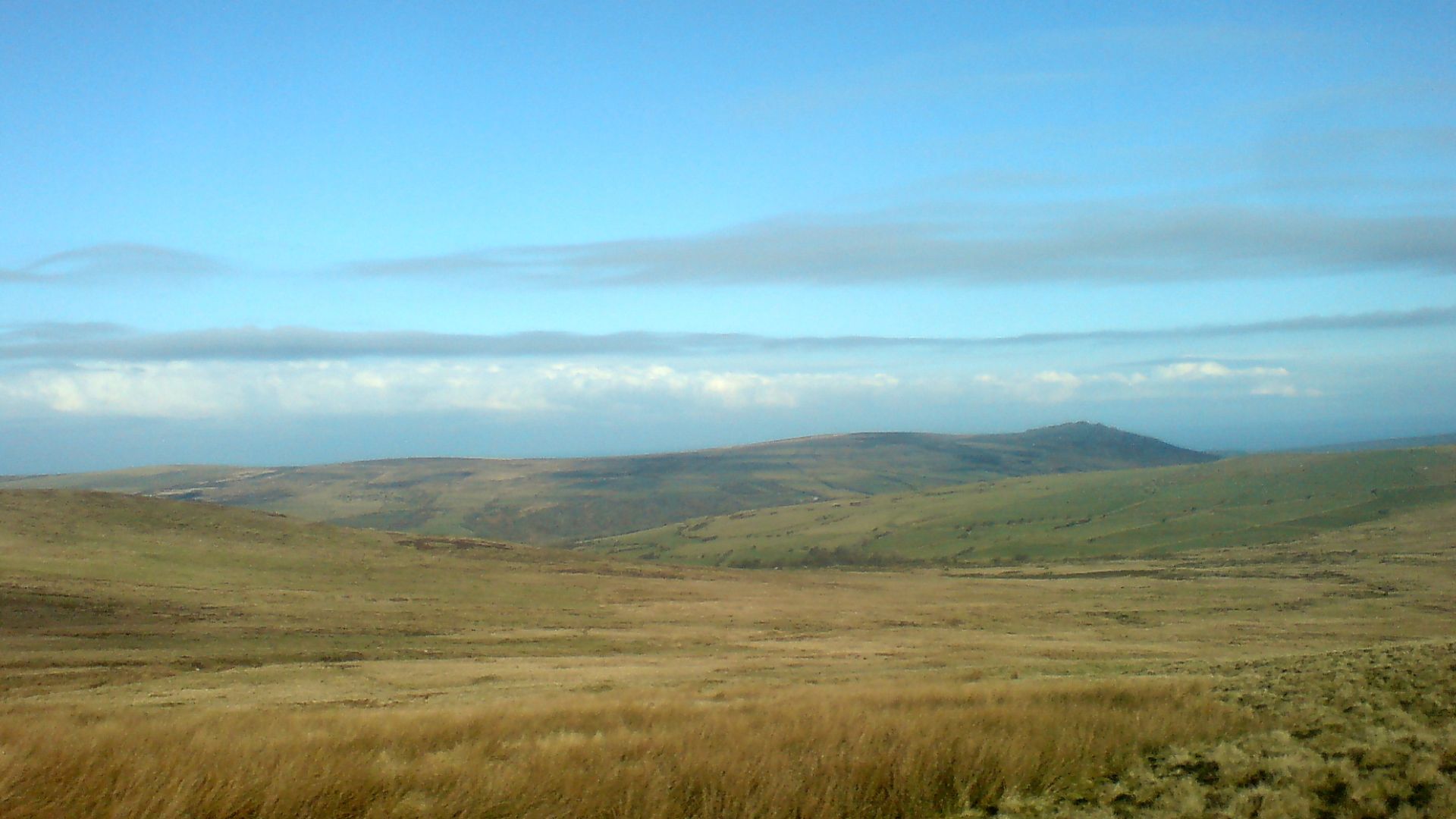 Preseli Hills High moorland on the Preselis. Home to grazing sheep and hardy mountain ponies. There is even mention of the occasional 'big cat'! Yet to be confirmed! Carn Ingli is seen to the right of the picture. It straddles the borough of Newport and t