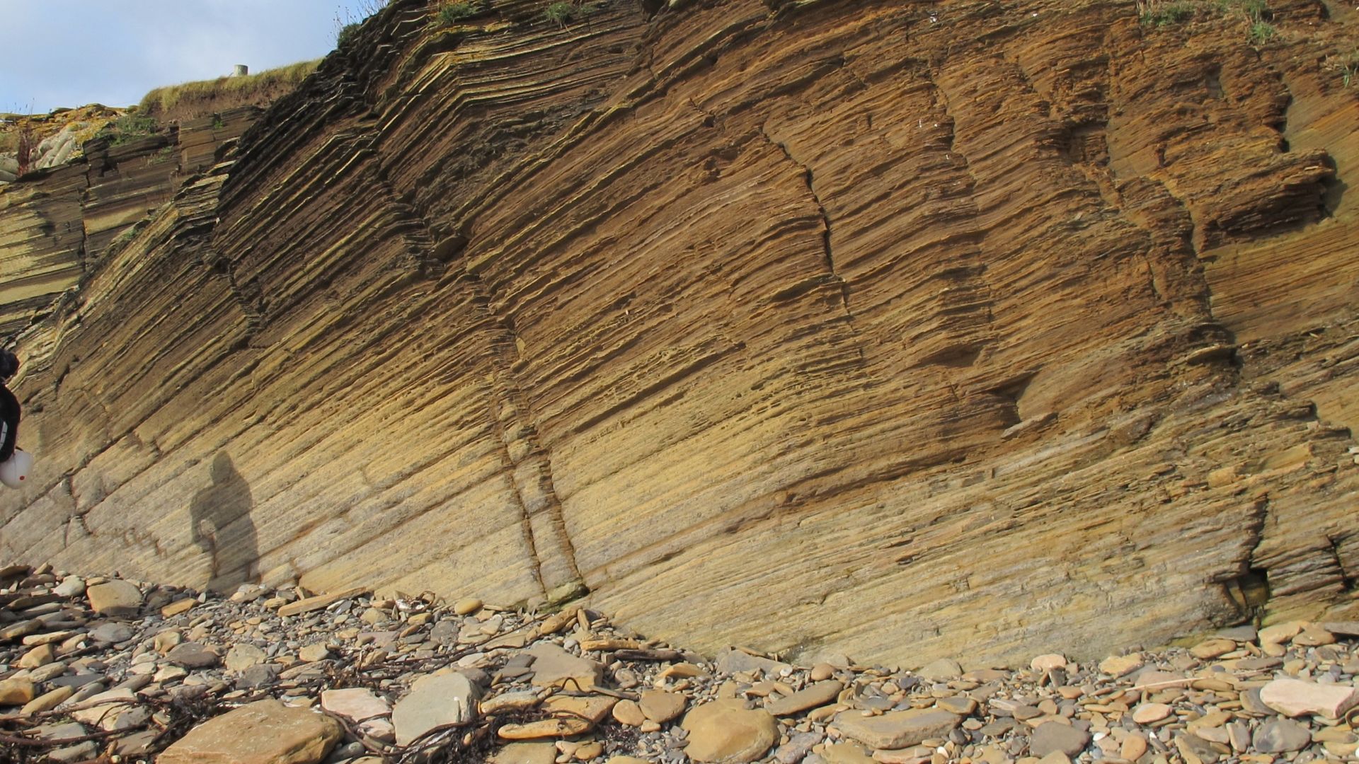 Fine carbonate laminites of the Sandwick Fish Bed on the Stromness Shore section