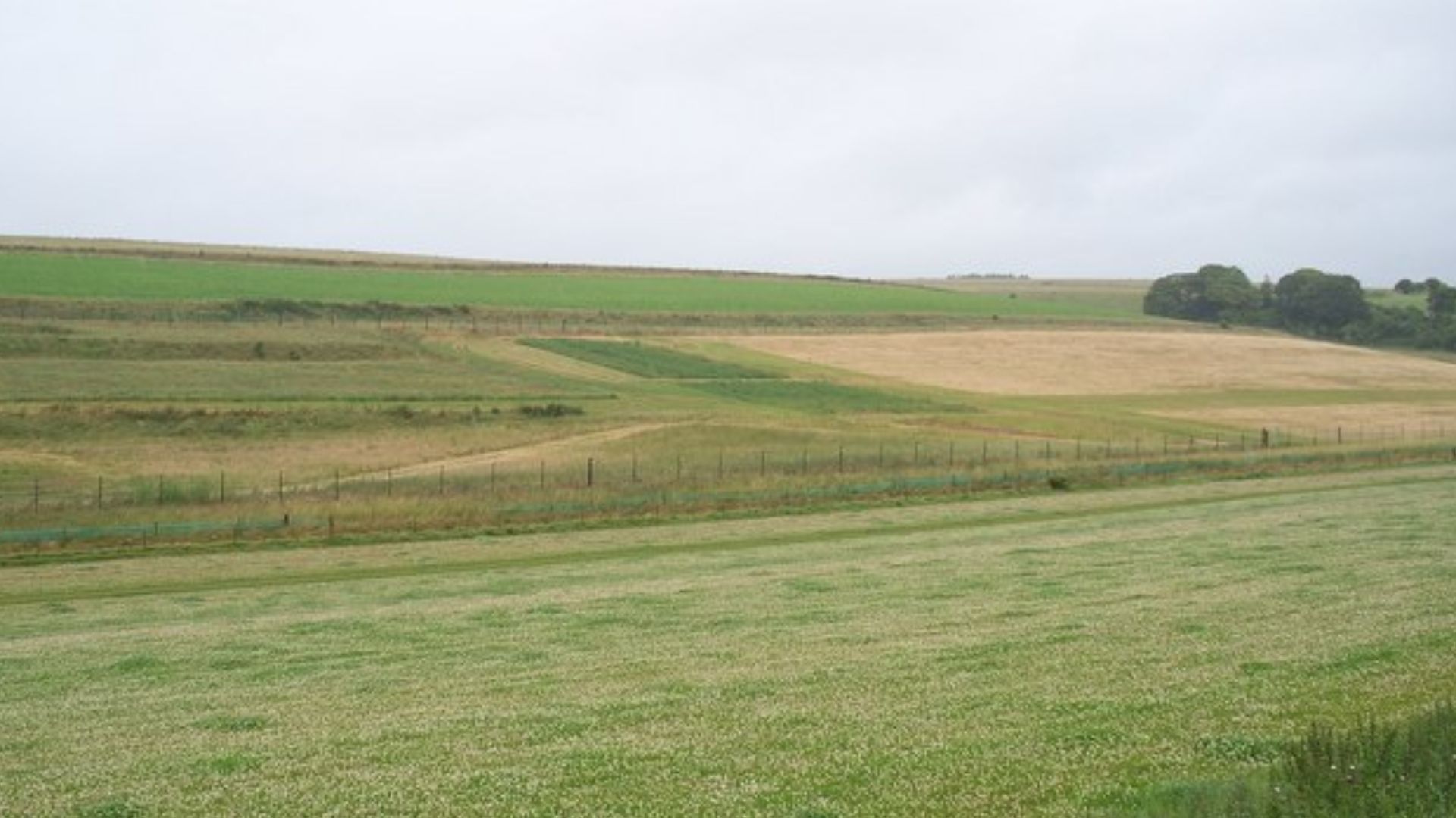 Salisbury Plain Beautiful countryside in Wiltshire on a wet July morning.