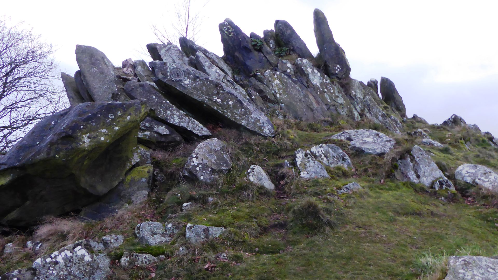 Altar Stones is a nature reserve on the northern outskirts of Markfield in Leicestershire. It is managed by the Leicestershire and Rutland Wildlife Trust.