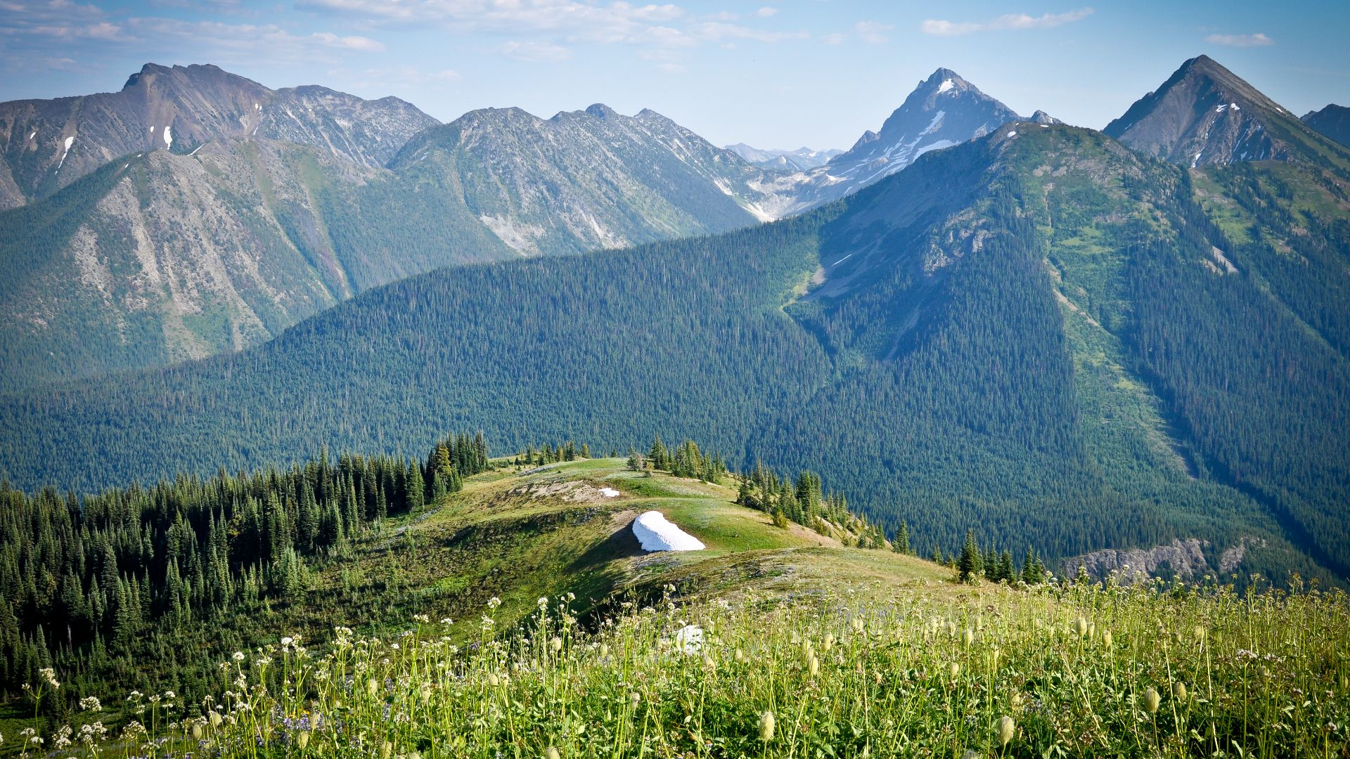 Hozameen Range from Snow Camp Mountain in E.C. Manning Provincial Park. Photo credit: Stephen Hui