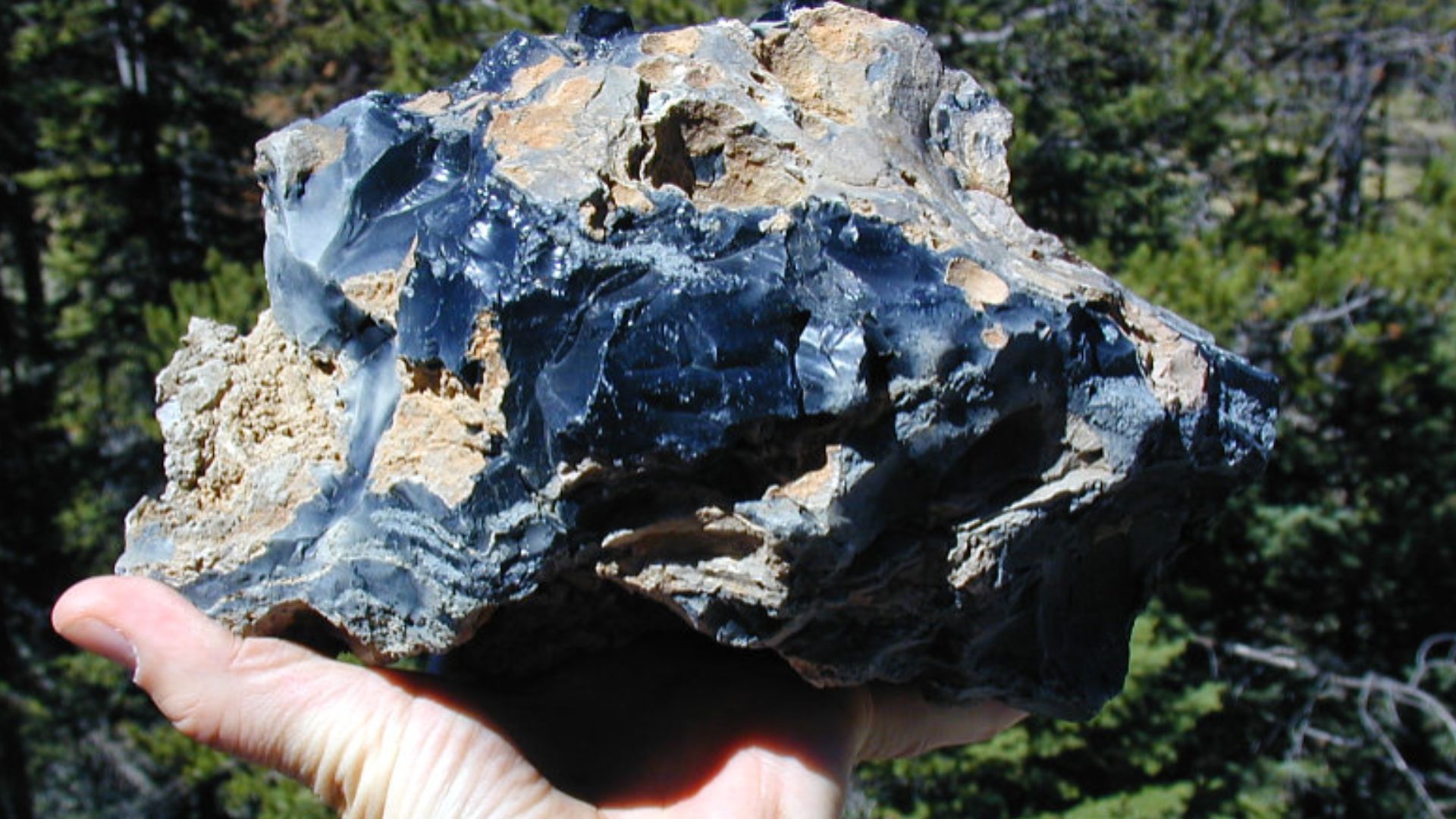 Obsidian from Obsidian cliff