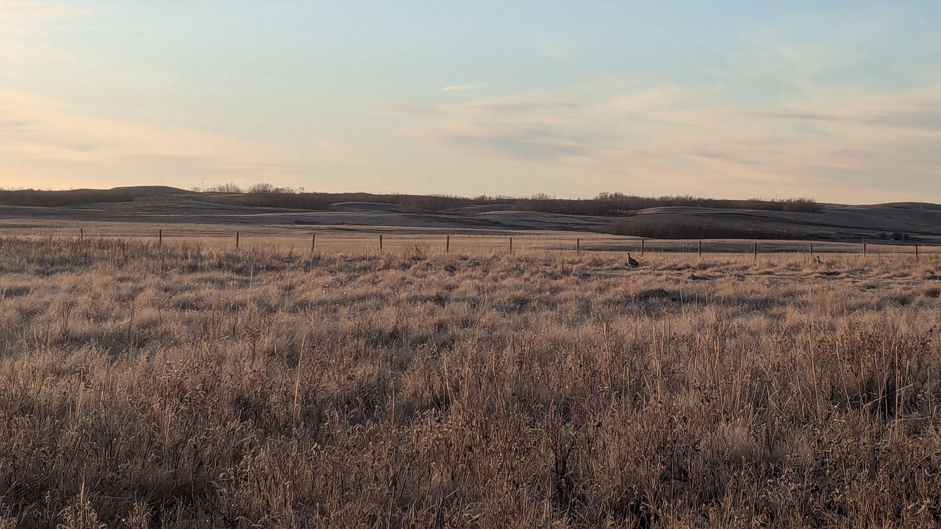 Spiers Lake NWA, Alberta, Canada