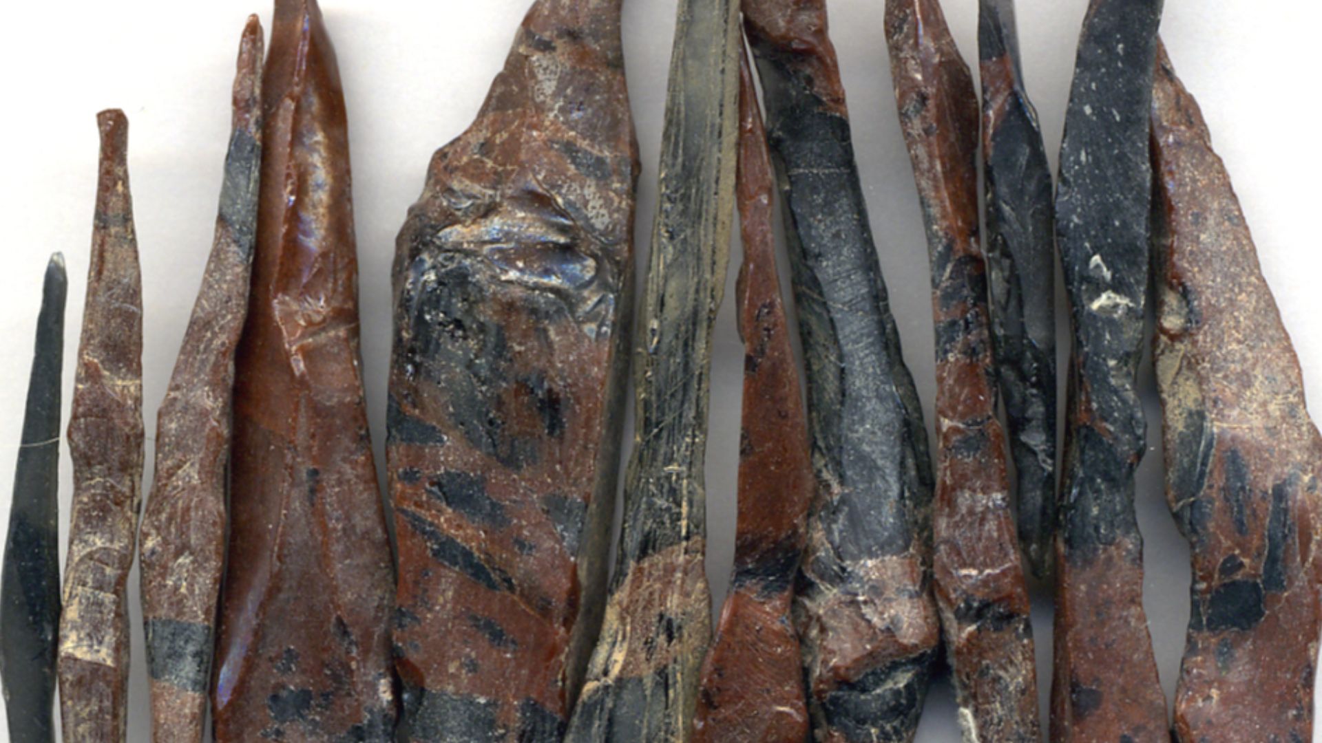 Splintery obsidian from Oregon, USA.
Igneous rocks form by the cooling & crystallization of hot, molten rock (magma & lava).  If this happens at or near the land surface, or on the seafloor, they are extrusive igneous rocks.  If this happens deep undergro