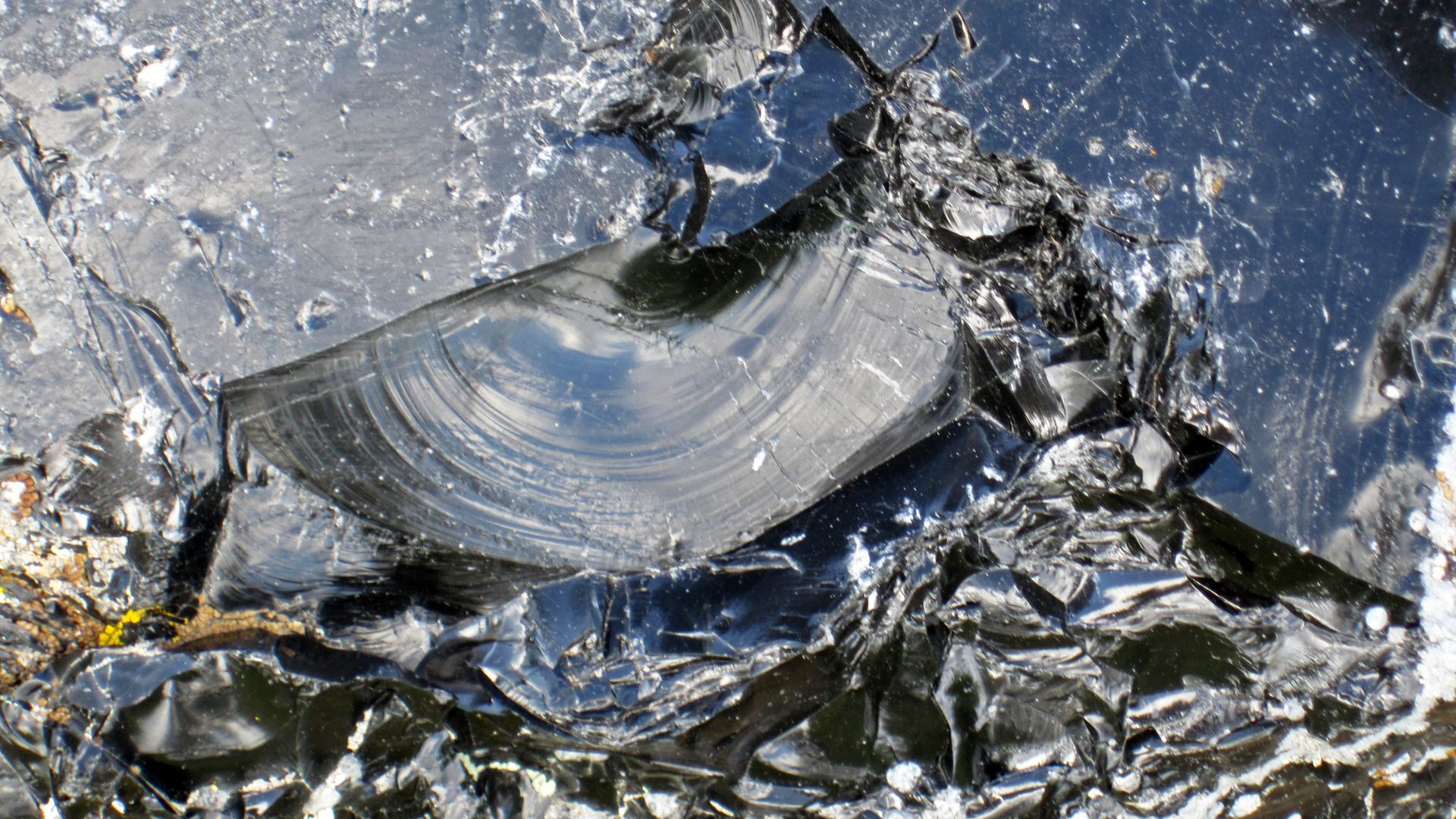 Obsidian in the Pleistocene of Wyoming, USA.
Obsidian is a glassy-textured, extrusive igneous rock.  Glassy-textured rocks have no crystals at all.  They form by very rapid cooling of lava or by cooling of high-viscosity lava.  Most obsidians form by the 