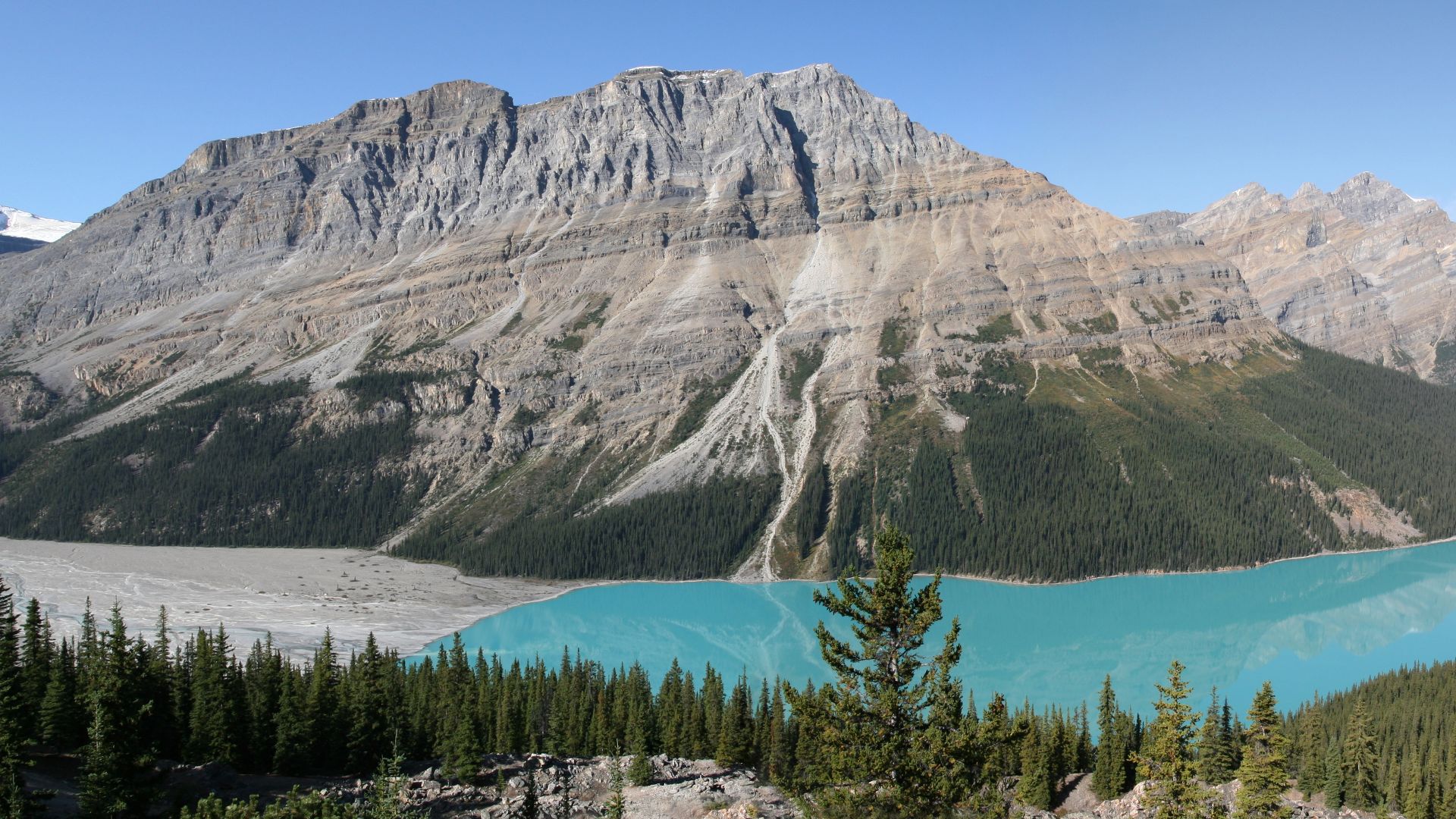 Panorama of Peyto Lake, located in Banff National Park, in the canadian Rocky Mountains.