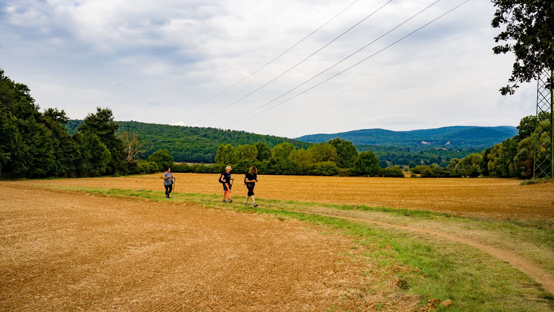 Via Francigena in Tuscany near Siena. Section 66	XV	Seocine by bishop Sigeric.