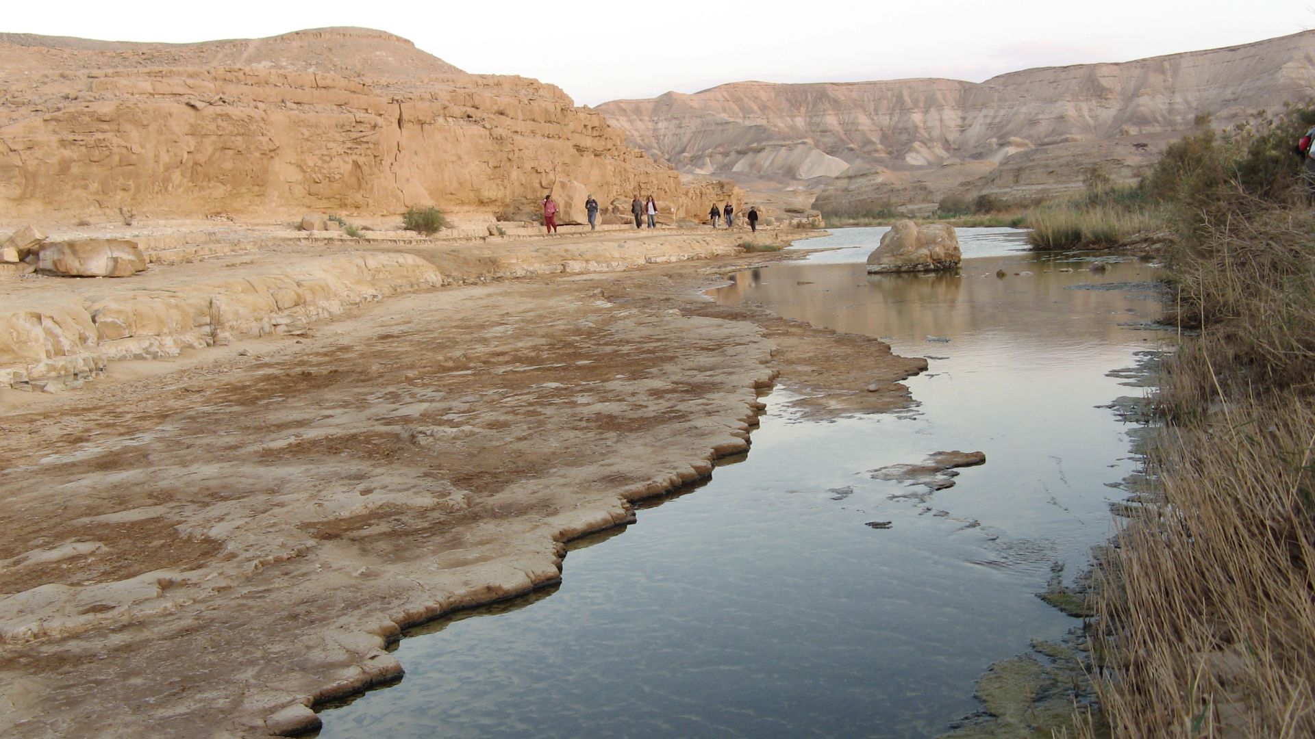 river in the negev desert, israel
