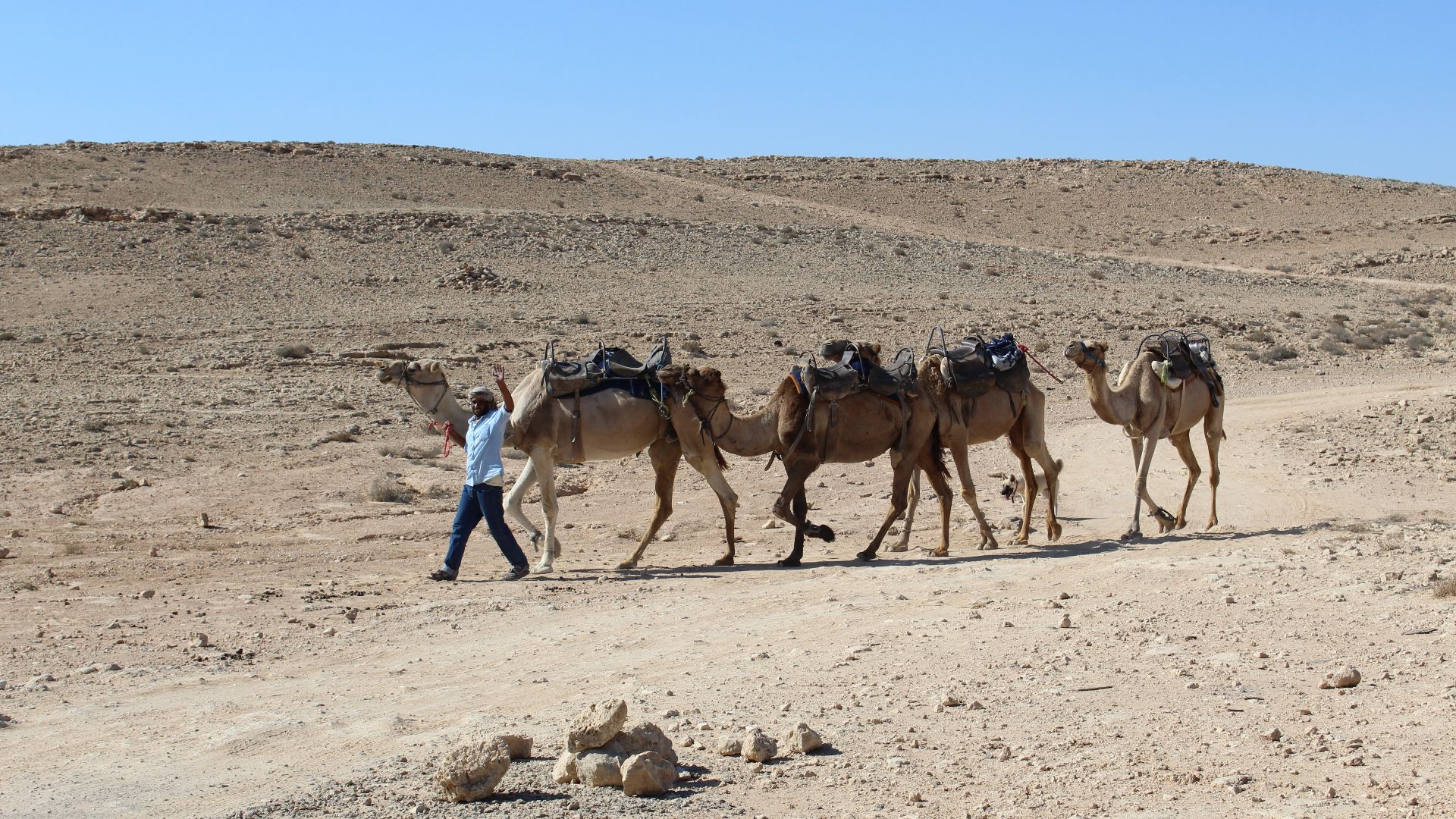 Makhtesh Ramon Crater is a geological feature of the Negev desert is located at the peak of Mount Negev, some 85 km south of the city of Beersheba.