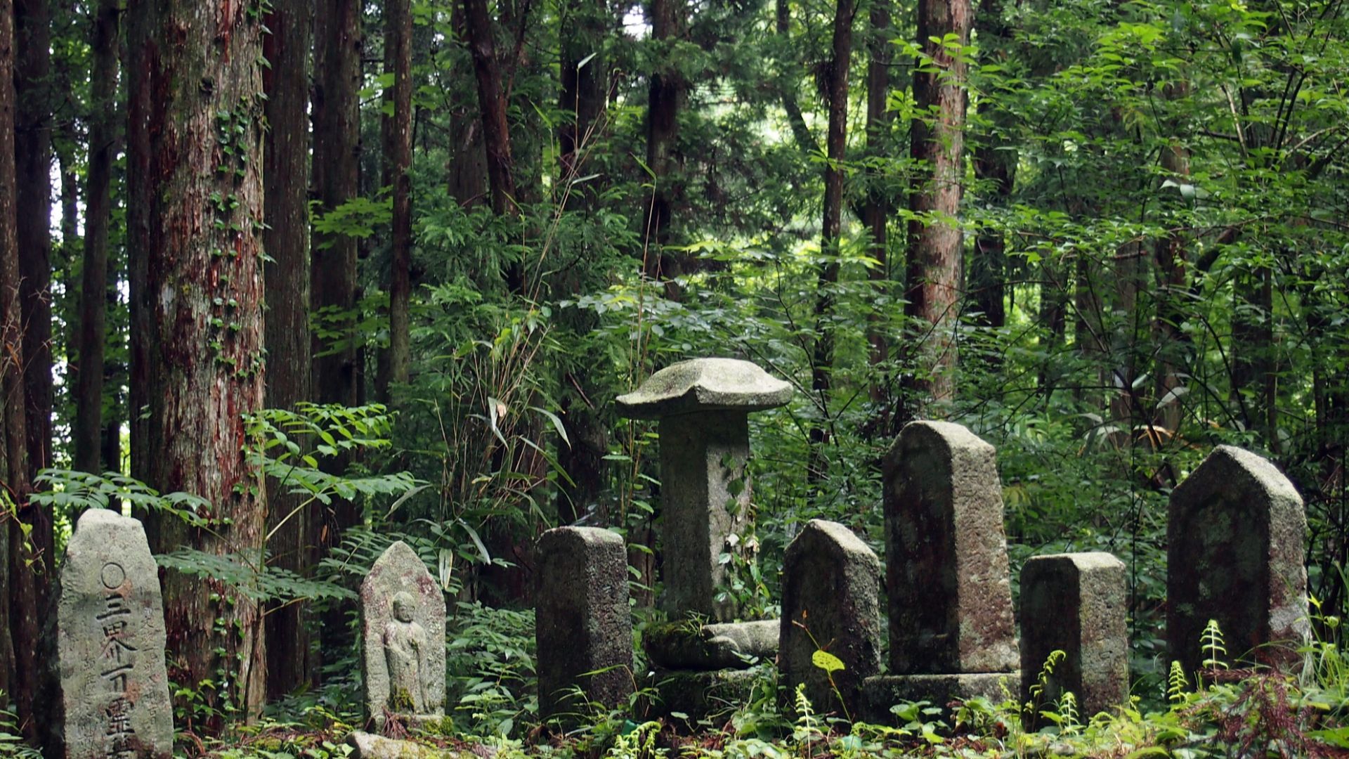 500px provided description: Some stones next to the Nakasendo trail near Magome, Japan [#magome ,#Nakasendo ,#Forest ,#Japan ,#Gravestones]