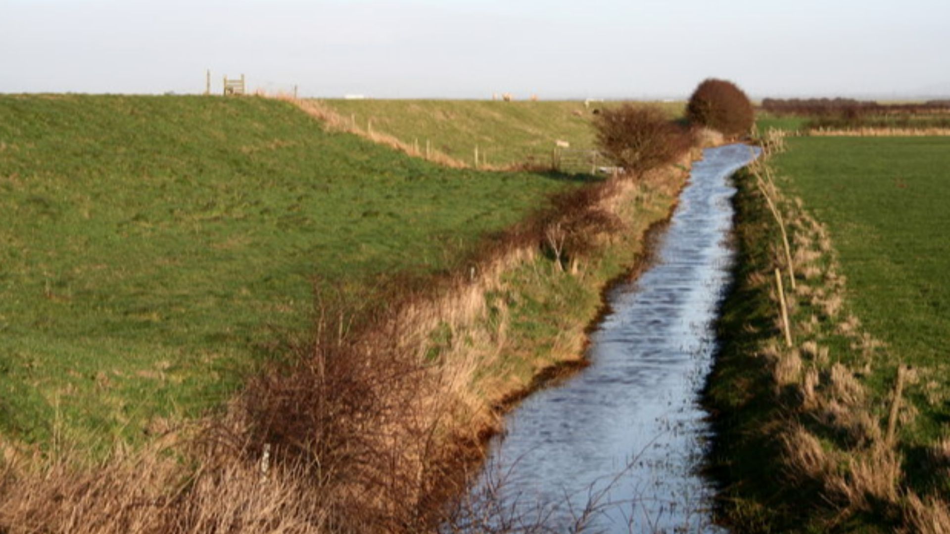 Inner Sea dyke and drainage ditch The original sea dyke and drainage ditch.  Another has been built 1km north nearer the Ribble estuary.