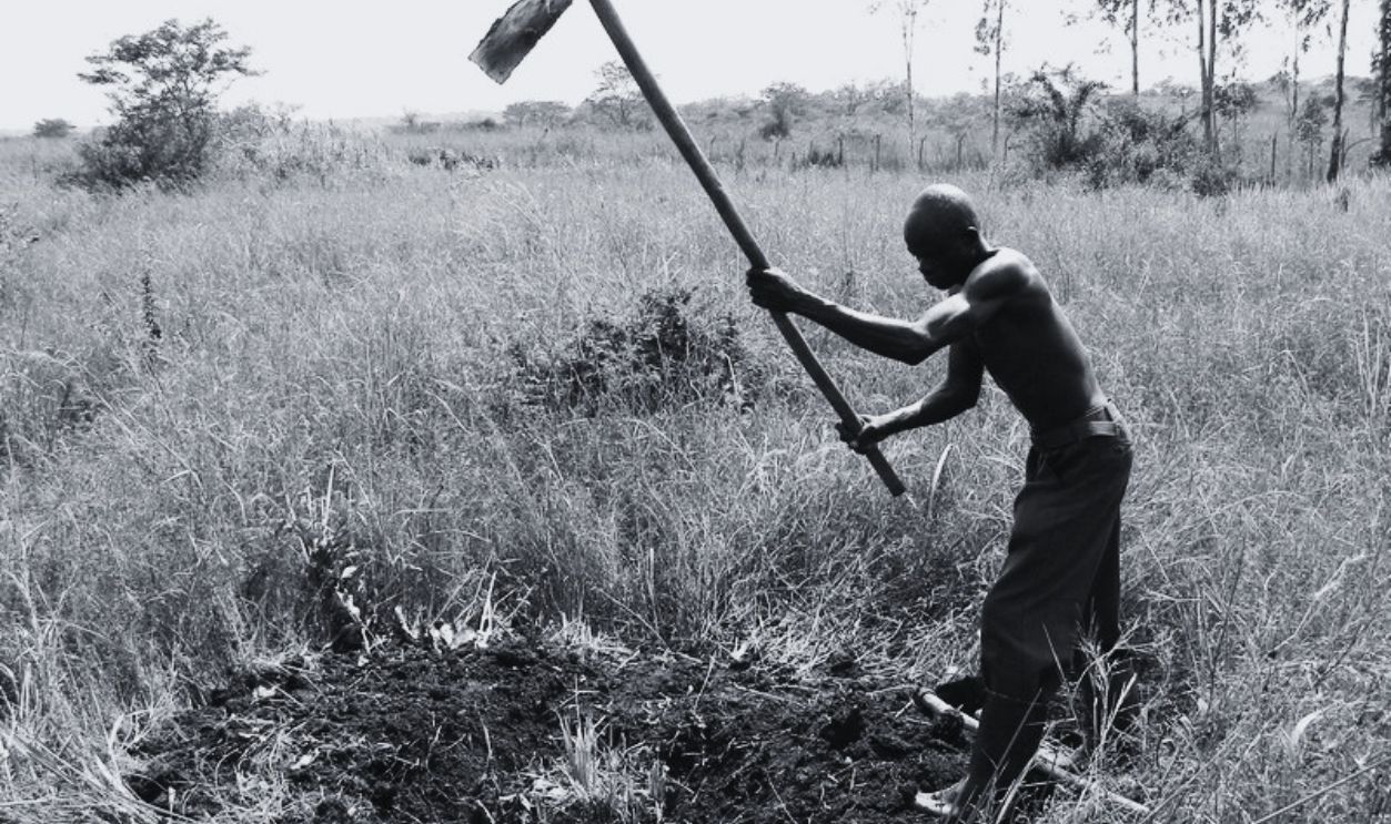 Digging