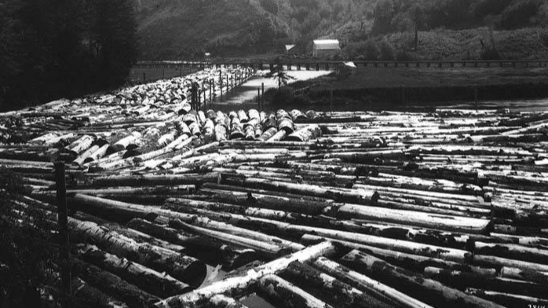 *Subjects (LCTGM): Logs--Oregon--Toledo