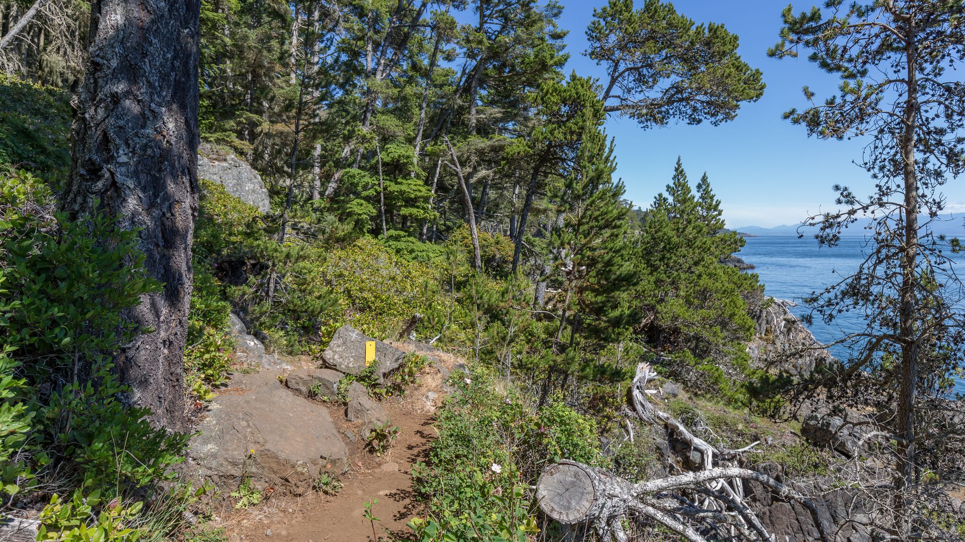 Coastal Trail, East Sooke Regional Park, British Columbia, Canada