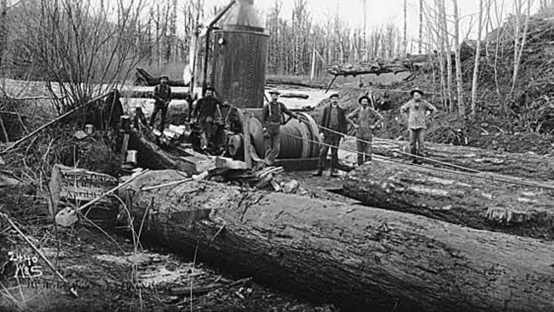 Yarding is the process of hauling logs to a central loading area or landing. Starting in the 1880s, steam engines began to replace animal teams for yarding logs. These steam donkeys or donkey engines were fueled with ever-plentiful wood. A long cable was 