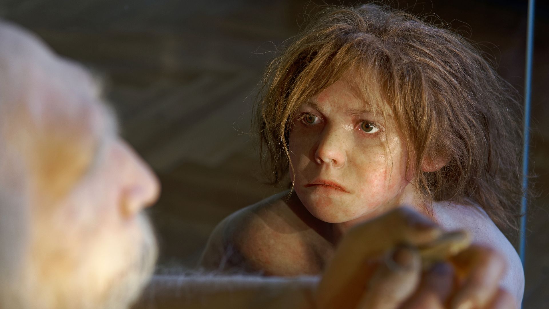 Model of Homo neanderthalensis child in The Natural History Museum, Vienna