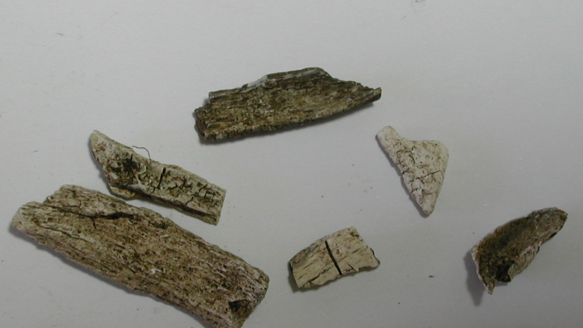 Four fragments of cremated Roman human bone.