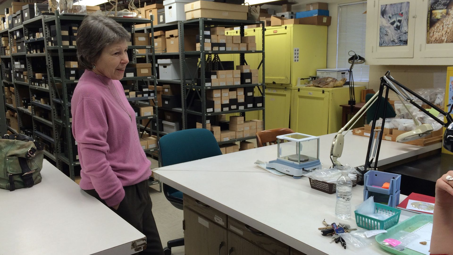 Dr. Elizabeth Reitz standing in the zooarchaeology laboratory in the Georgia Museum of Natural History, where she is faculty.