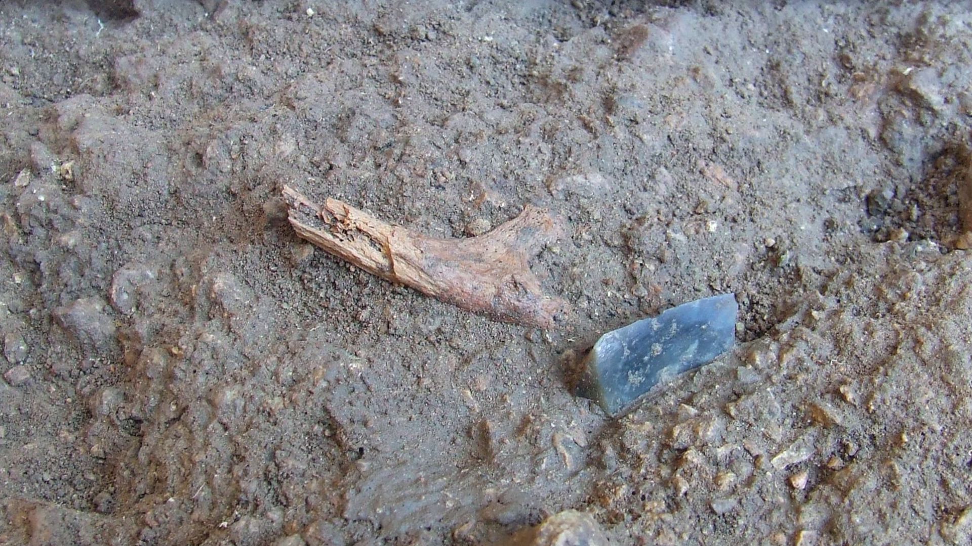 The findings of excavations of Upper Paleolithic layer at settlement Buran-Kaya - a fragment of bone and remains of a tool. Excavations of Upper Paleolithic archeological layer (Gravettian cultural tradition - Cro-Magnons) at the shelter-cave site of Bura