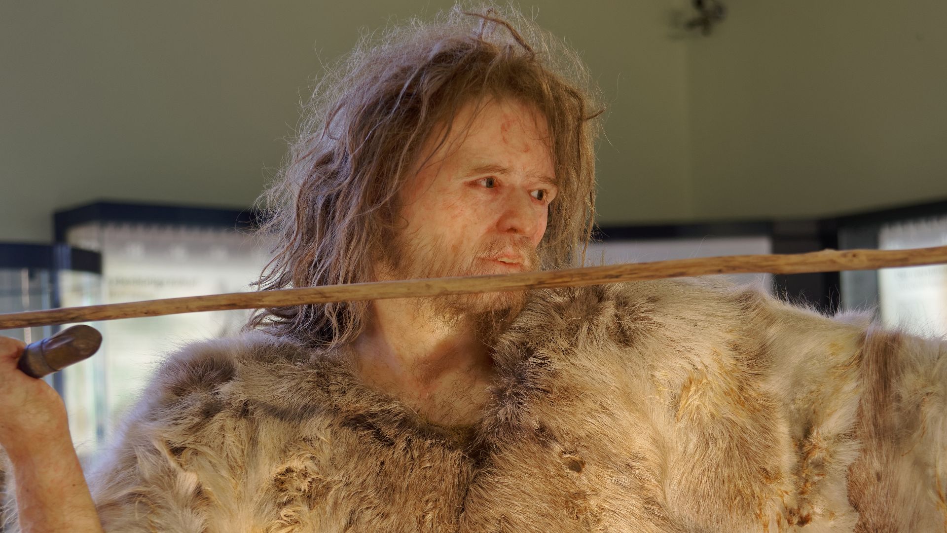 Model of Cro-Magnon 1, Homo Sapiens man in The Natural History Museum, Vienna