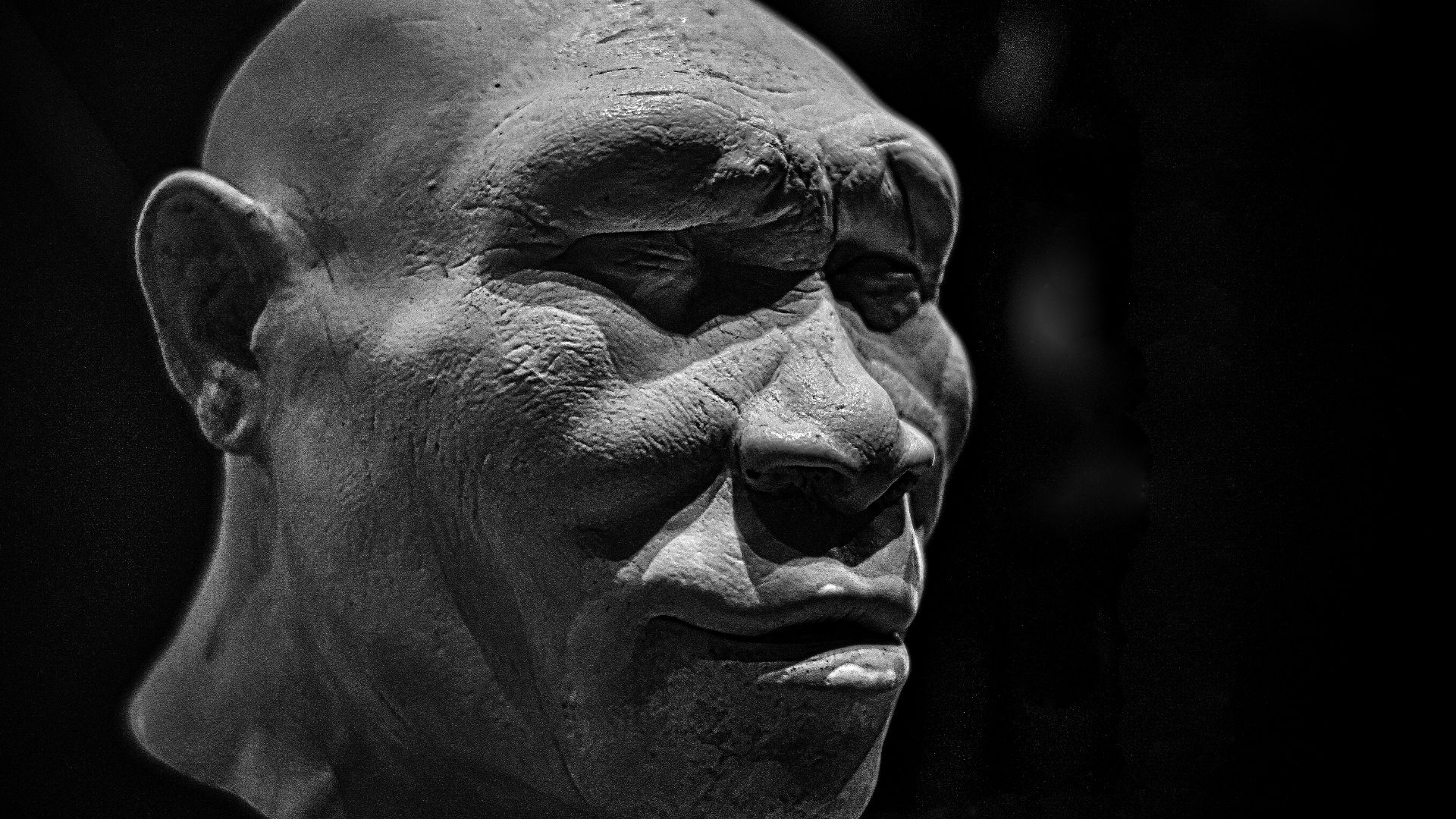 Homo erectus reconstruction, Natural History Museum, London
Within these hallowed halls
Revenge one does not know.
(Mozart, Magic Flute)
7Artisans 35mm manual lens at F1.2, ambient light.

Natural History Museum, London. This attempt at reconstructing the
