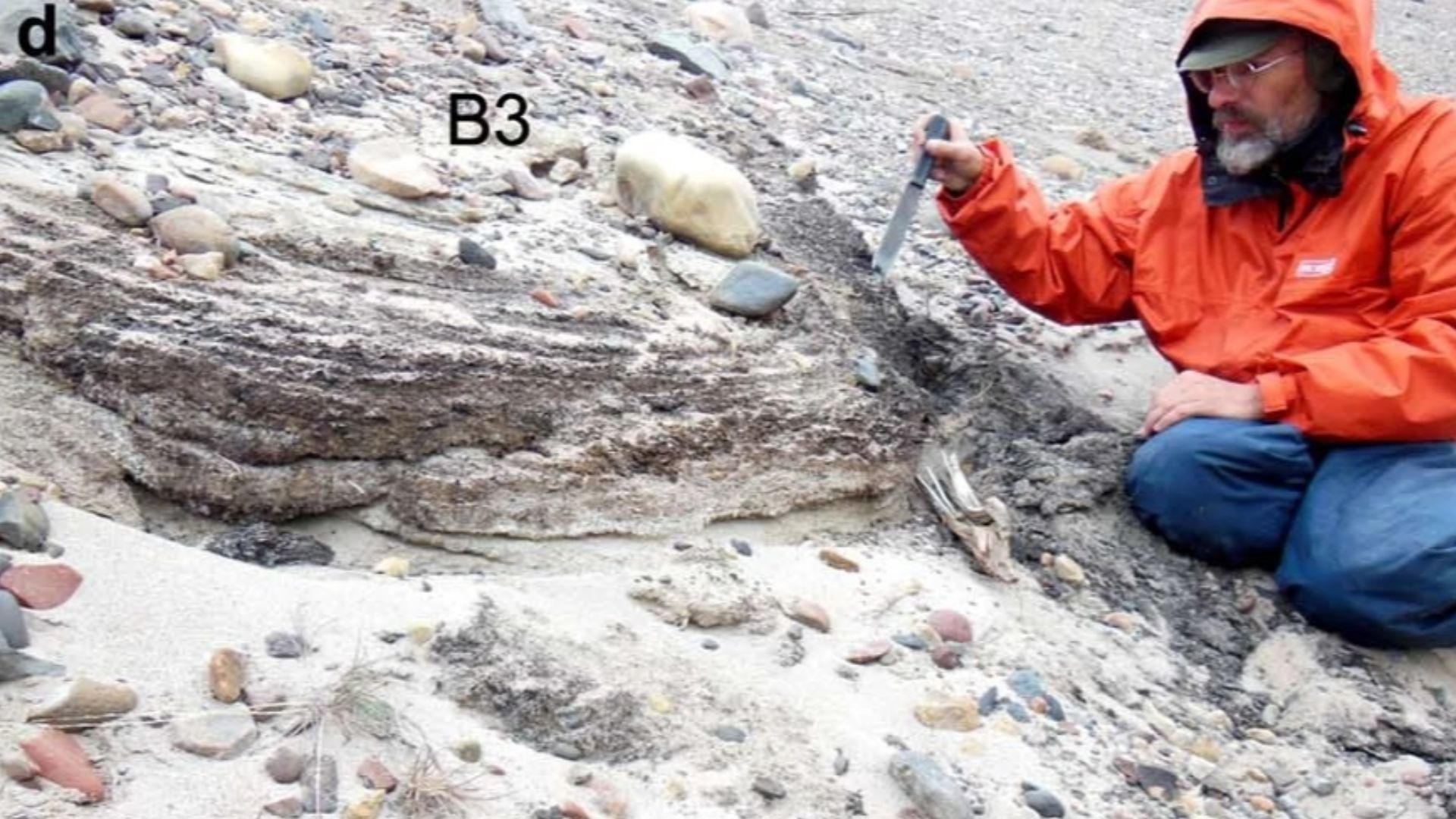 Kap Kobenhavn Formation.
a. Type locality 50 indicating units in formation;
b. Overview locality 74a+b with a complete sediment sequence;
c. Overview of locality 69;
d. Detail of organic rich sediment in unit B3 before excavation and cleaning for ancient