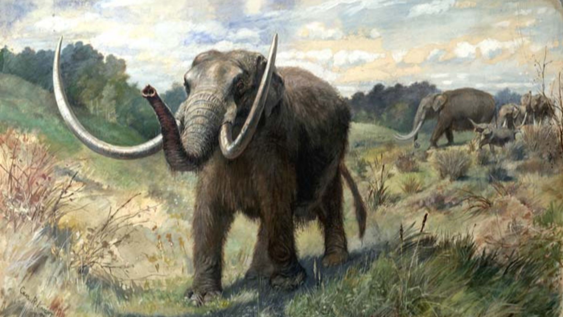 Life reconstruction of American Mastodons (Mammut americanum).