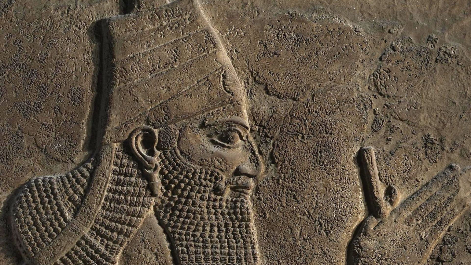 Gypsum wall panel relief: the king, Tiglath-Pileser III, wears a long full beard, a moustache, and carefully curled hair. His high crown is decorated with three bands which are ornamented with rosettes. The ornamented ends of the lowest band hang down his