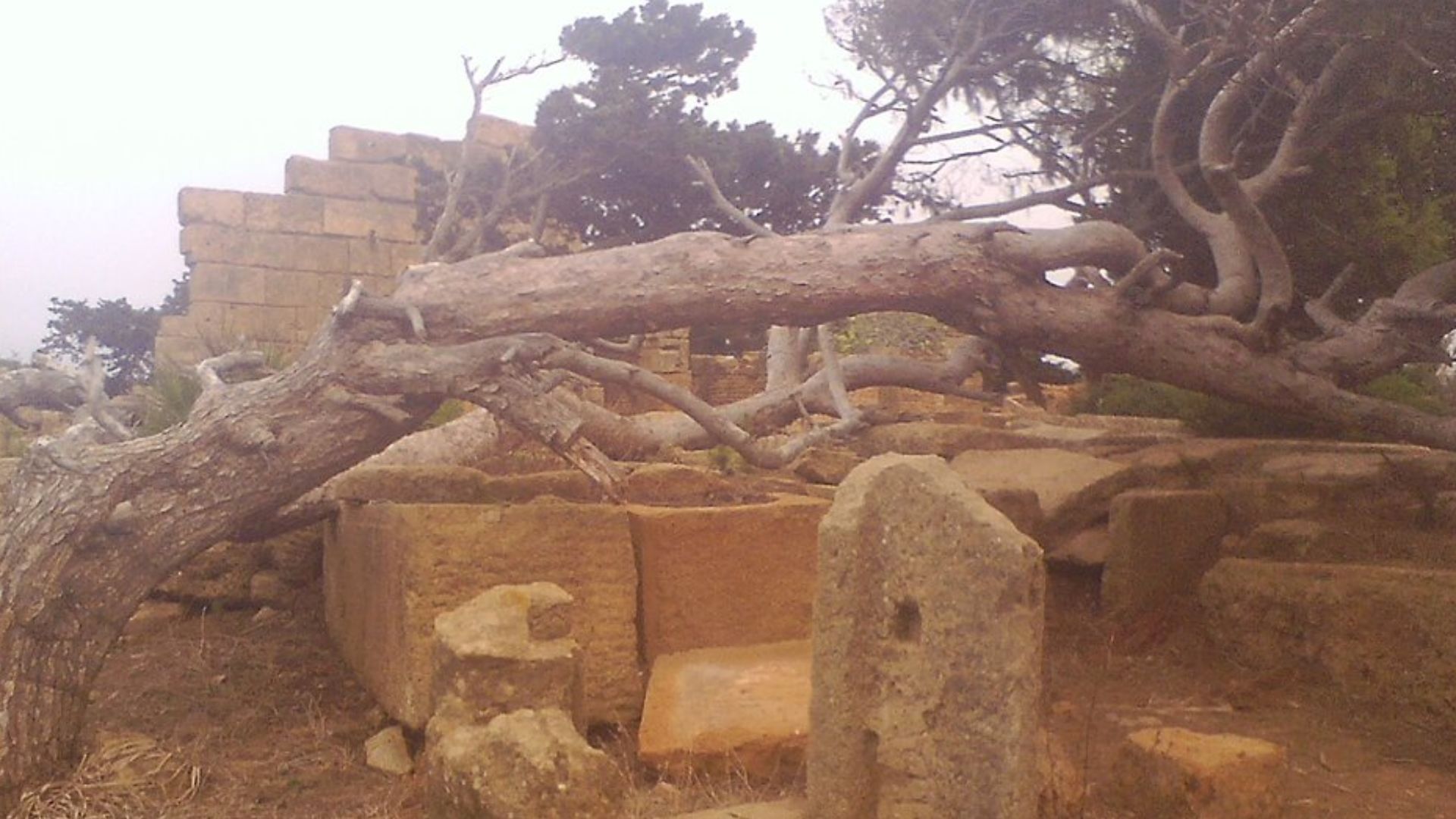 File:40CESAEREE today TIPAZA .The ancient Roman city in Algeria.jpg