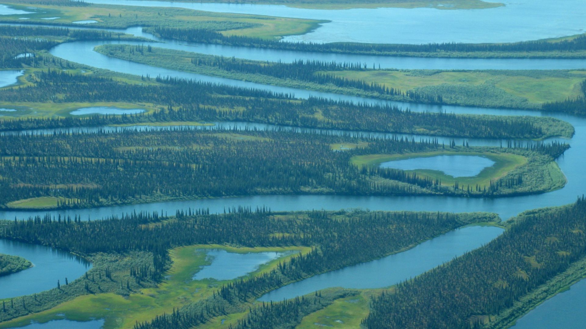 Kobuk River, meanders